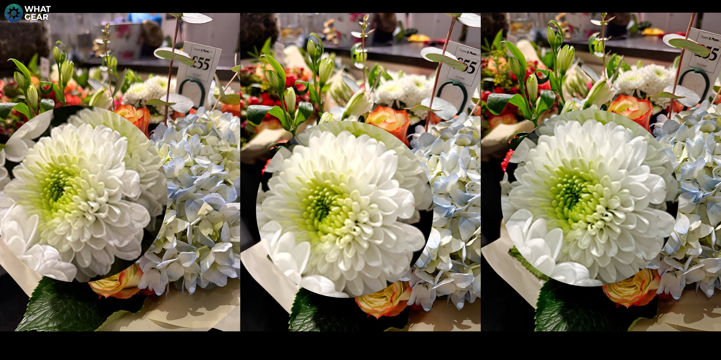 OnePlus 13 vs iPhone 16 Pro Max Camera 5 zoom.jpg
