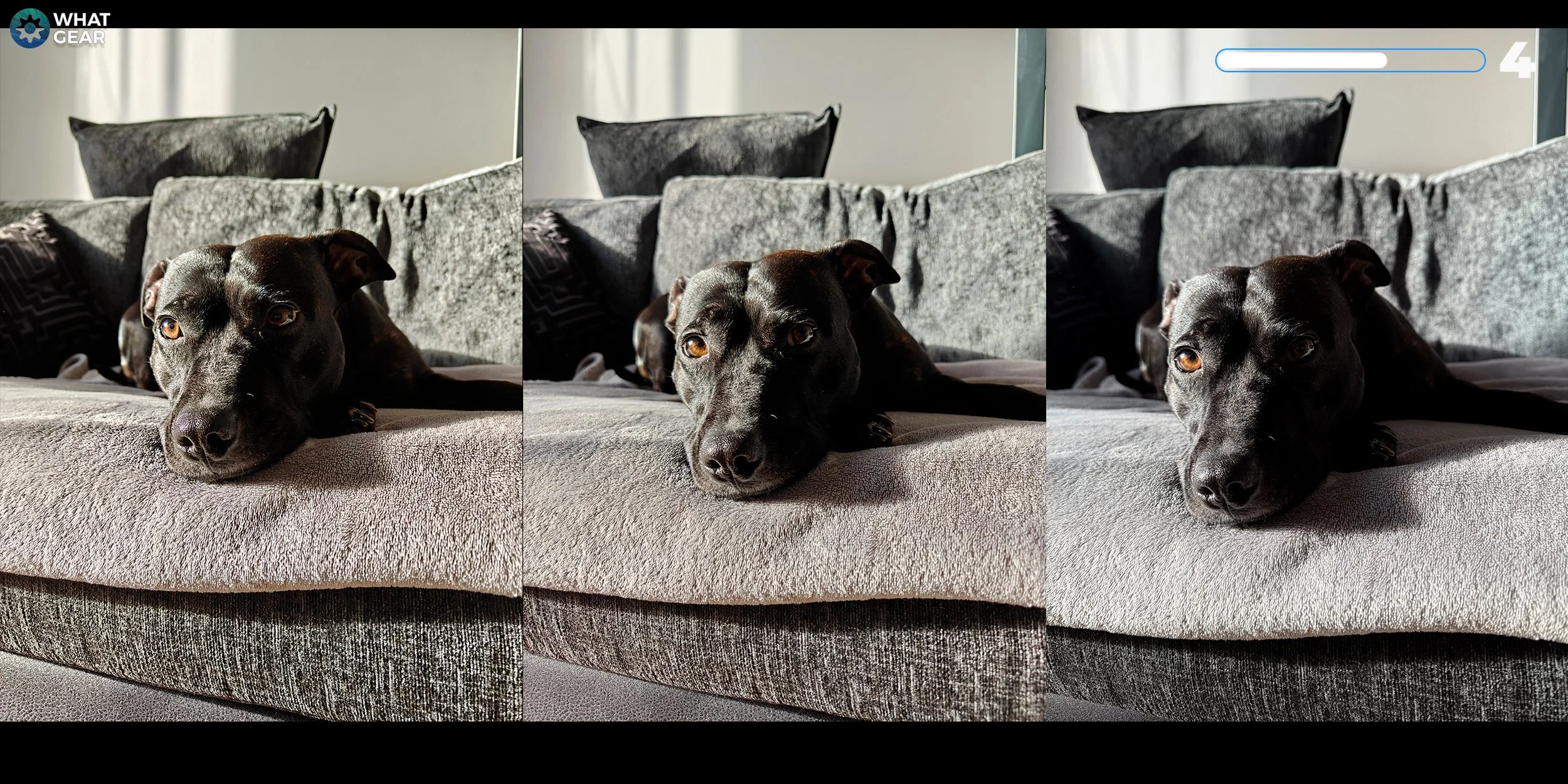 OnePlus 13 vs iPhone 16 Pro Max Camera 17.jpg