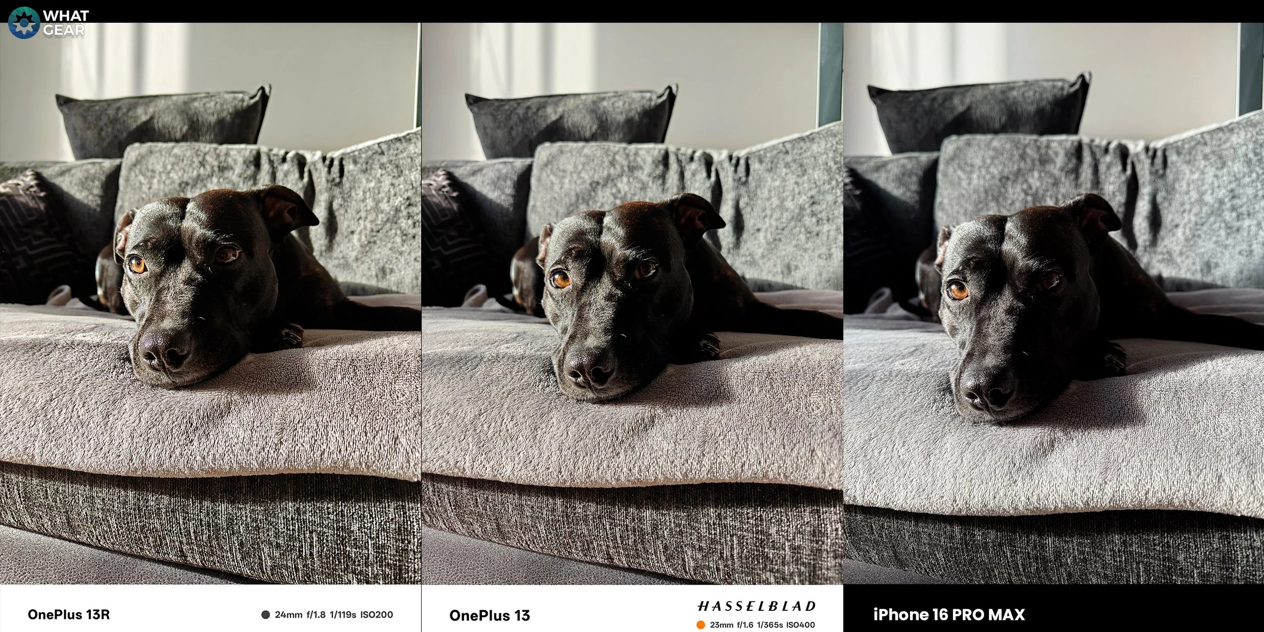 OnePlus 13 vs iPhone 16 Pro Max Camera 17 r.jpg