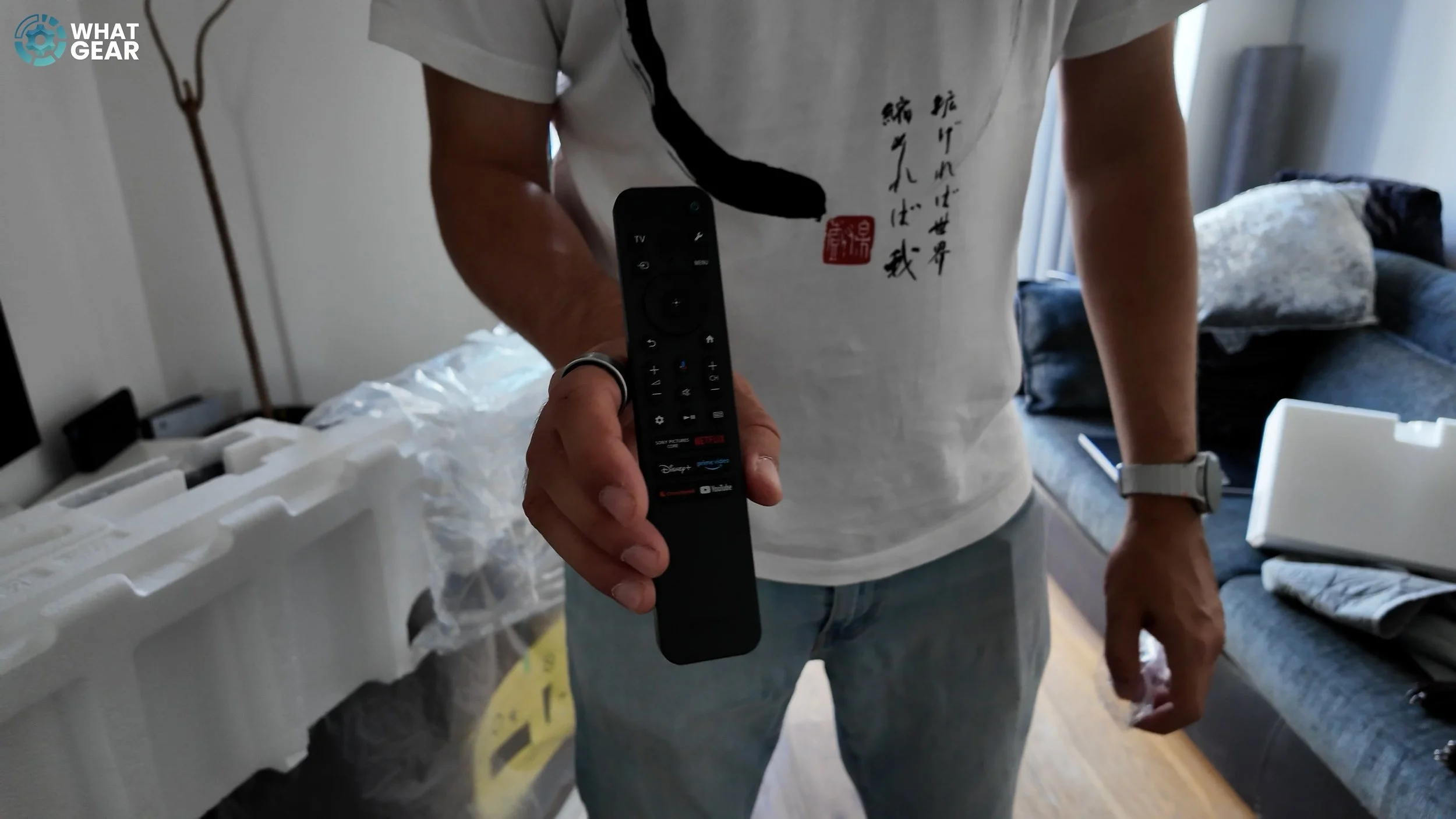 compact remote.jpg