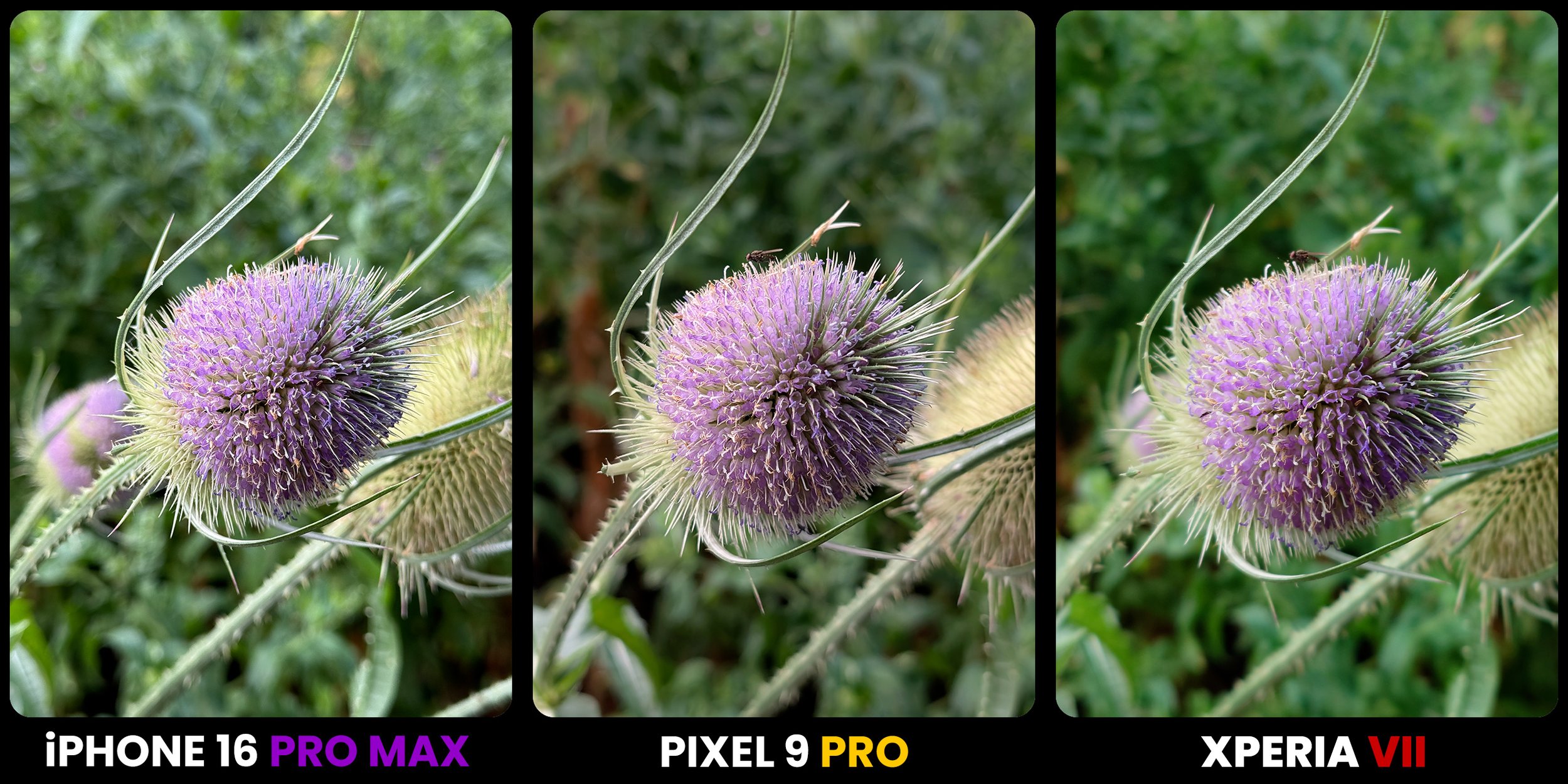 flower reveal.jpg