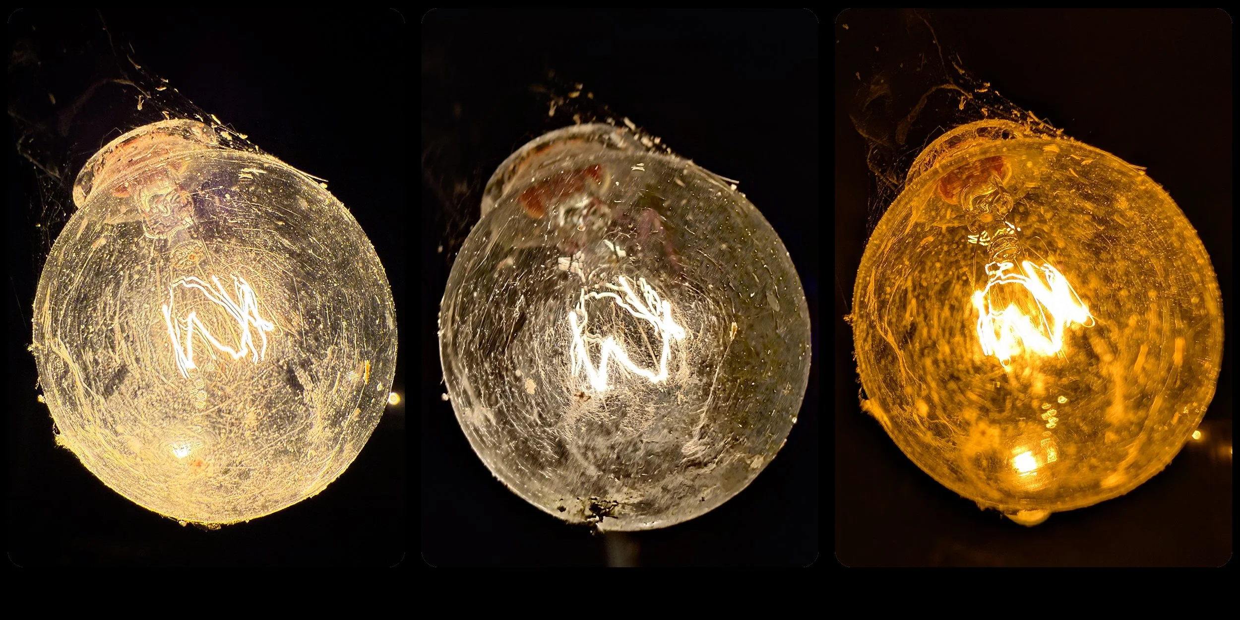 light bulb.jpg