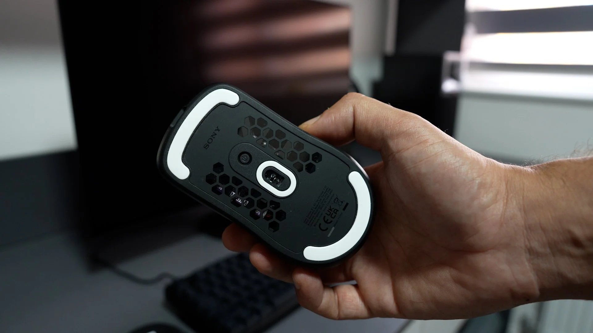 mouse.jpg