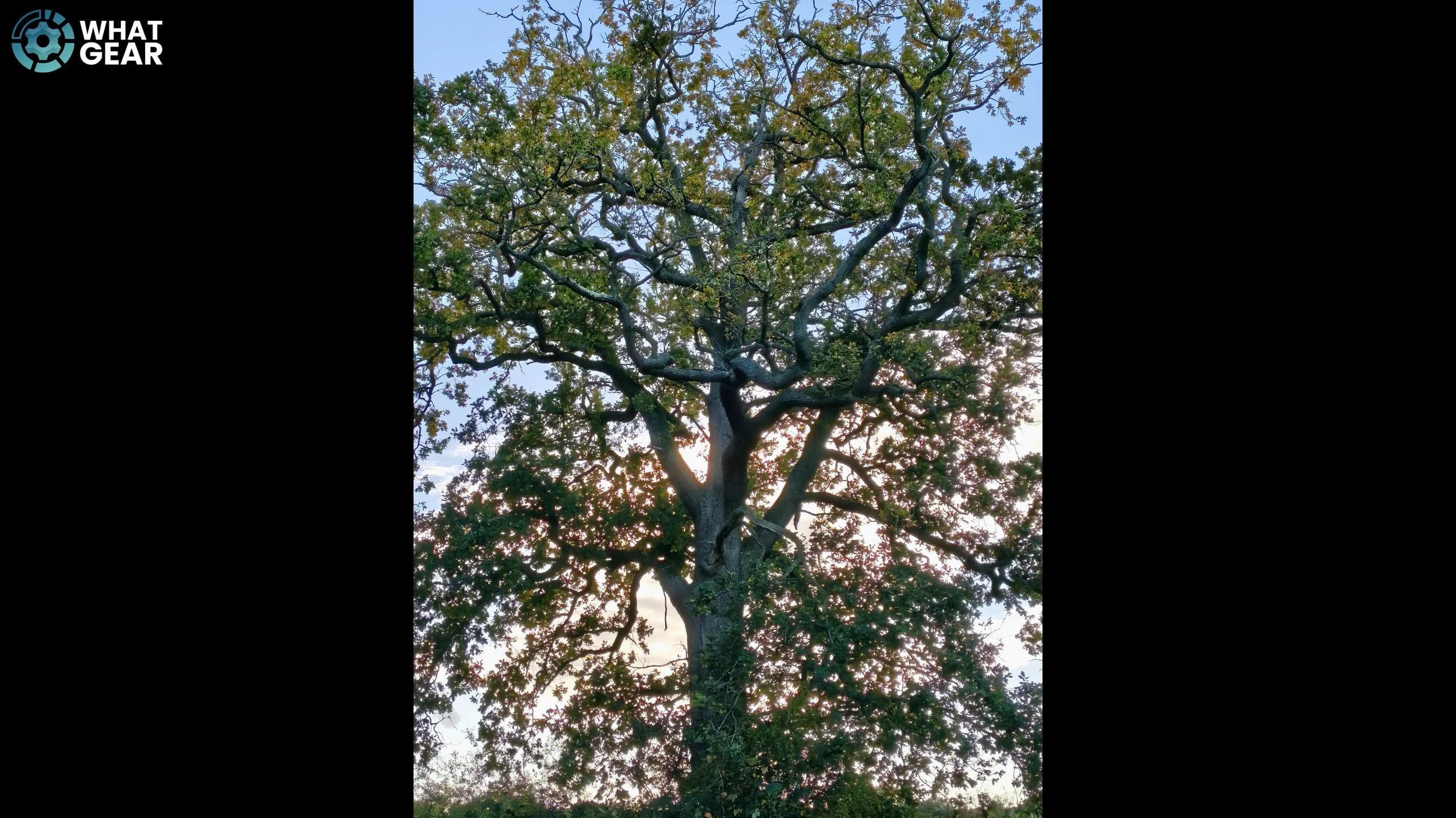 camera 3.jpg