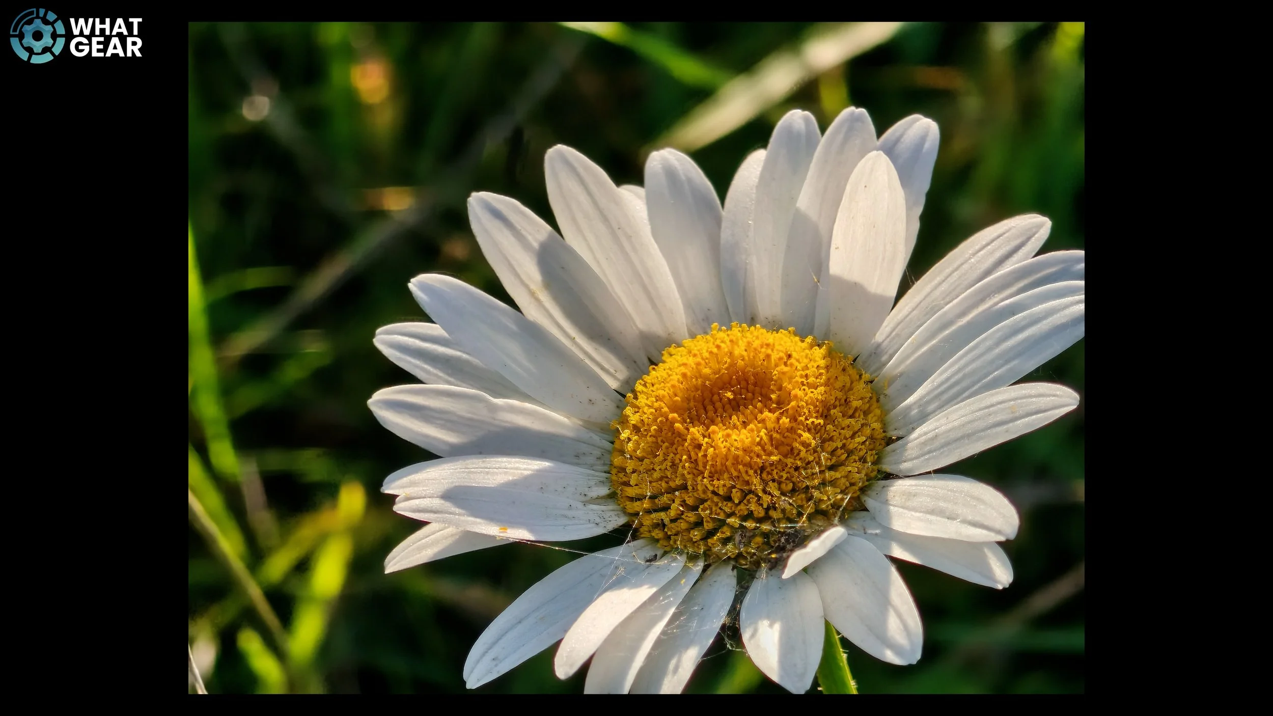 camera 6.jpg