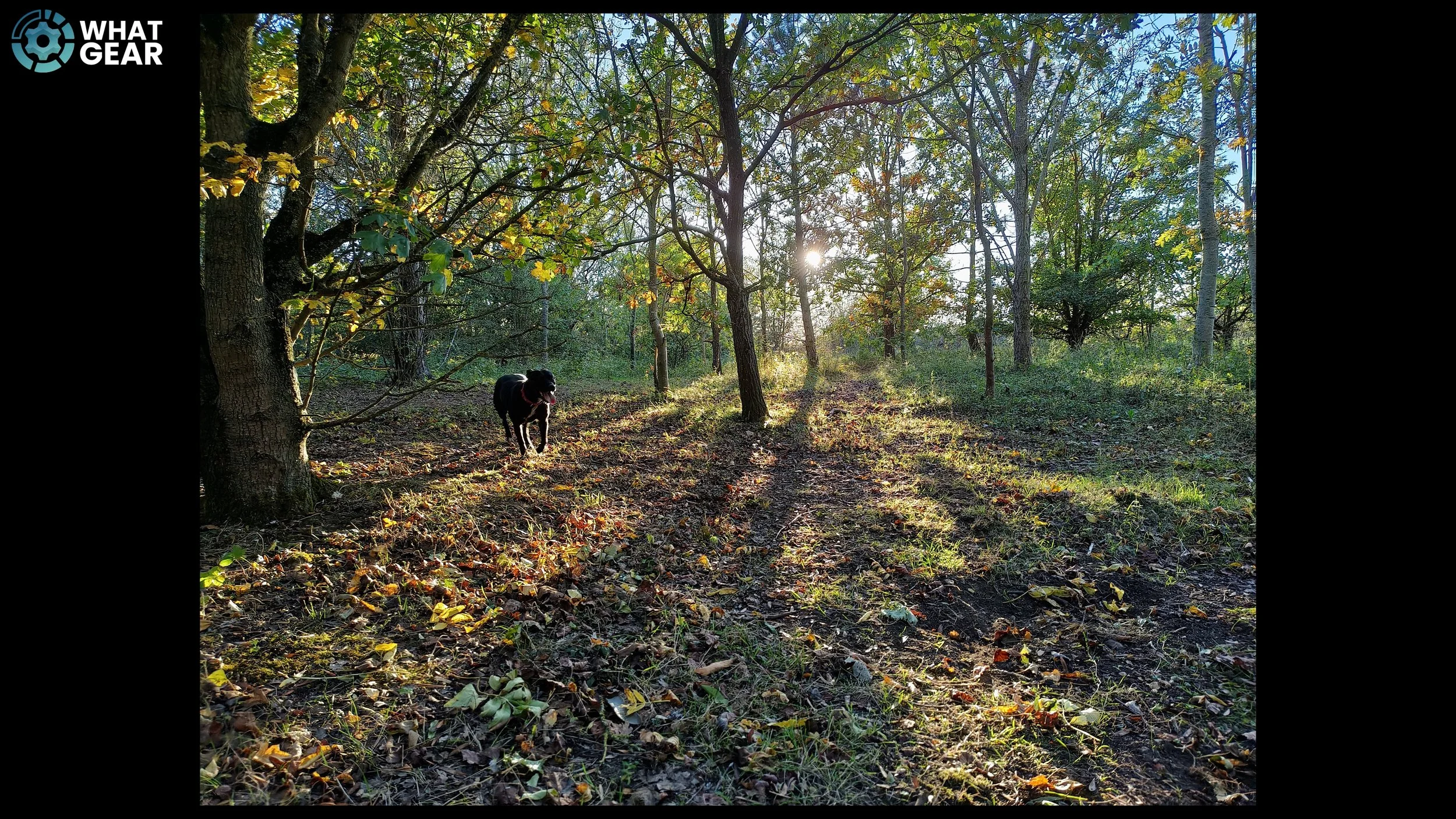 camera 7.jpg