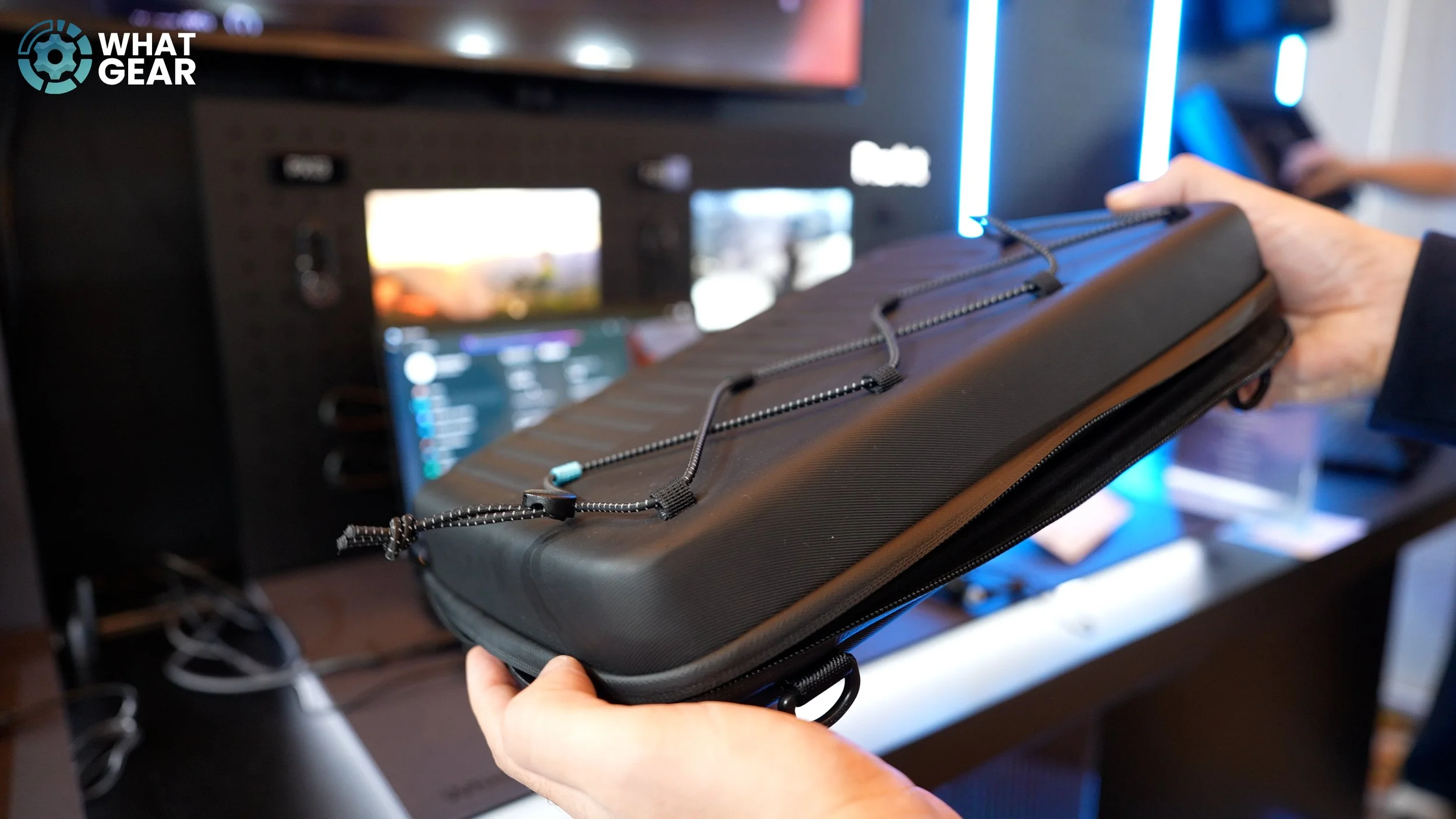 Asus ProArt GoPro PX13 carry case.jpg