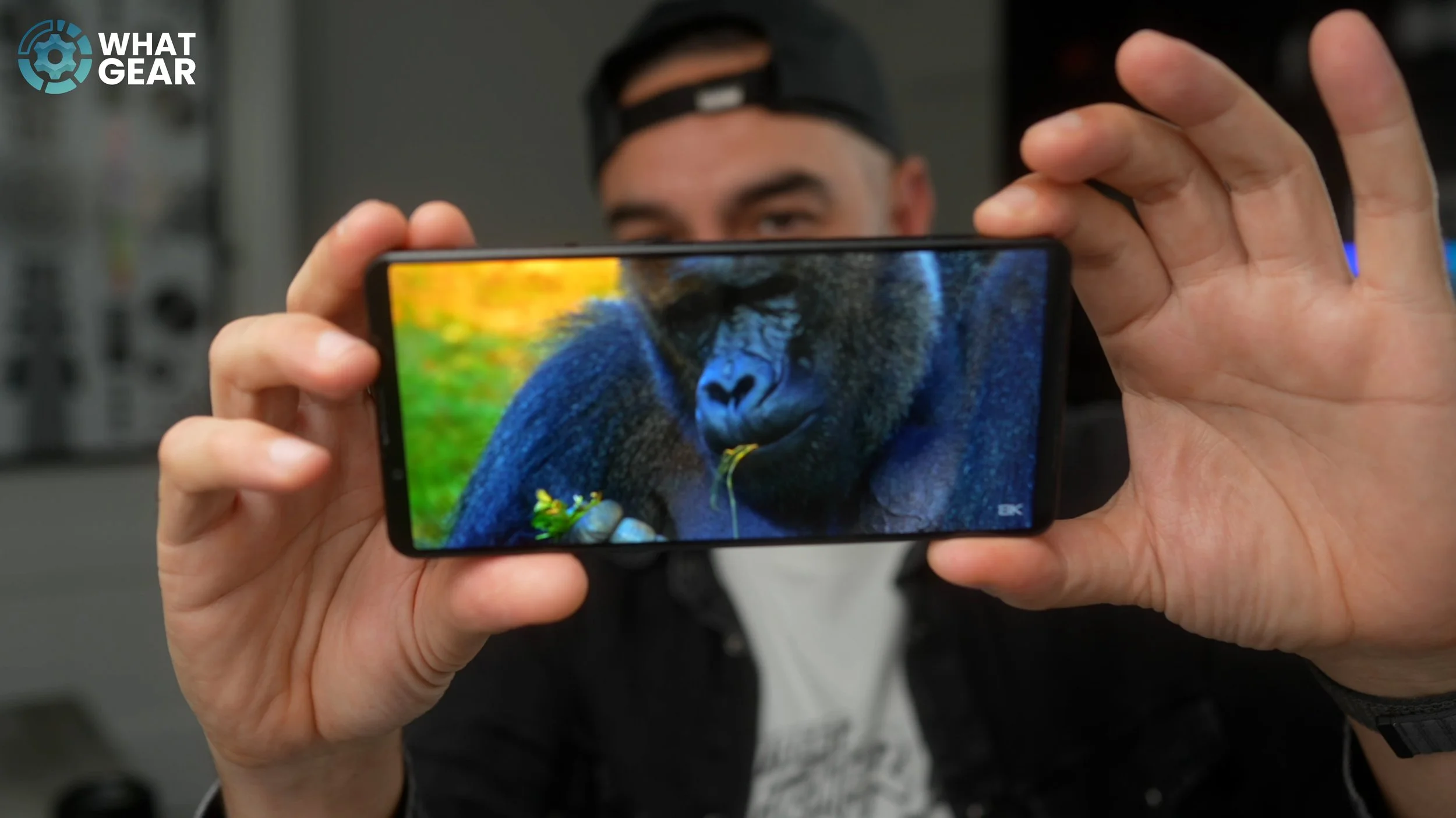 Sony Xperia 1VIII review gorilla.jpg
