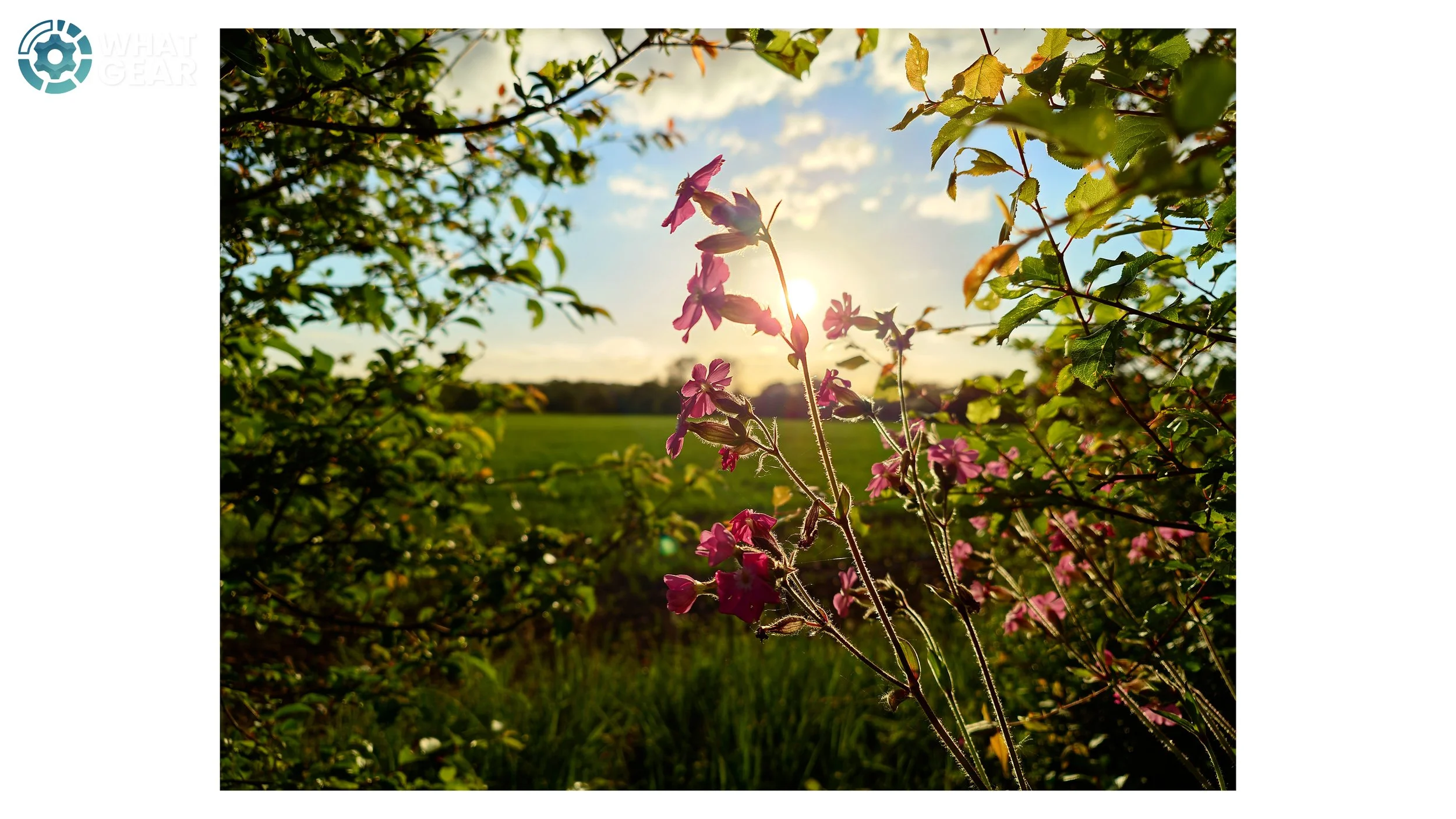 Sony Xperia 1VIII pic 5.jpg