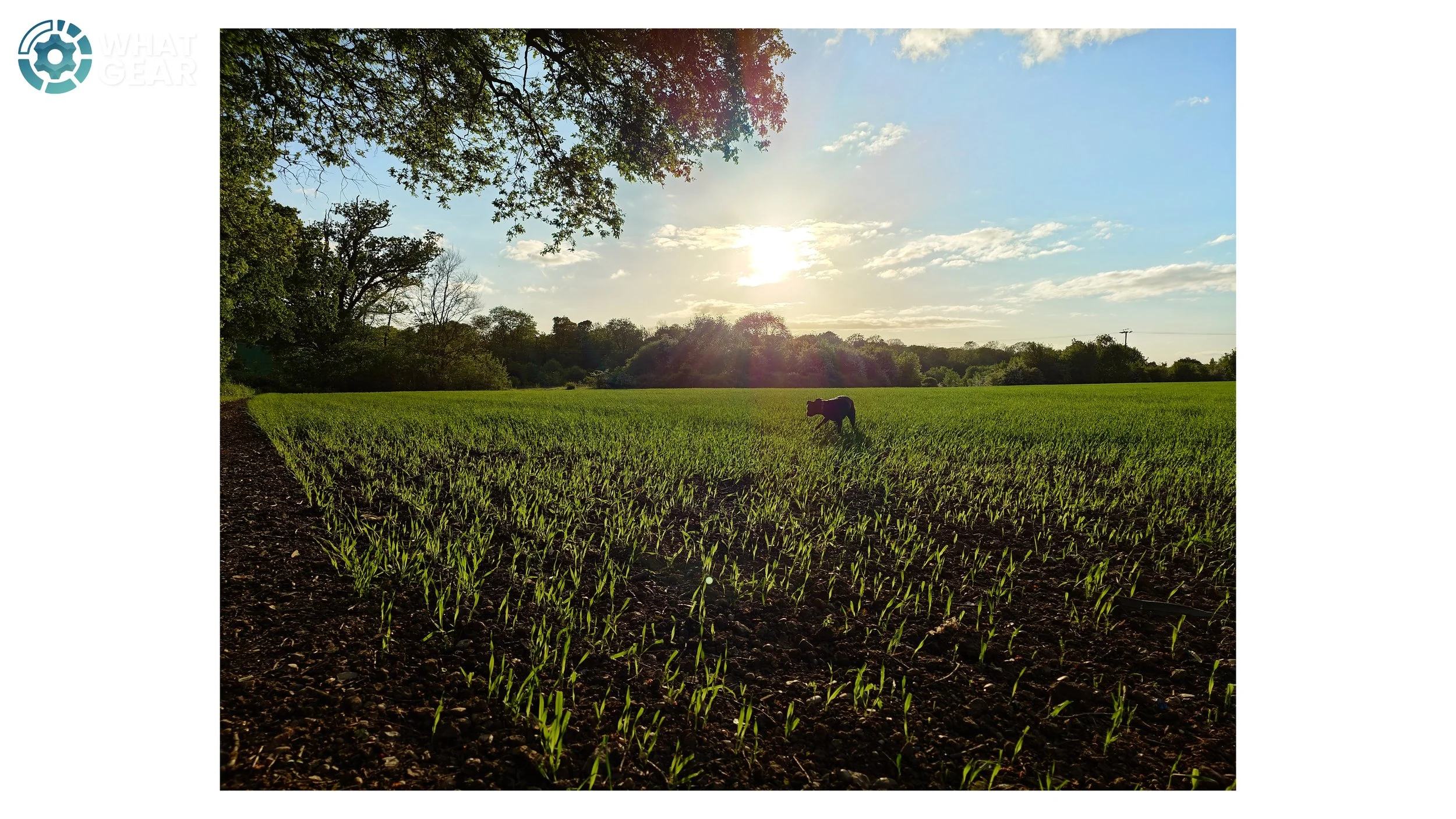 Sony Xperia 1VIII pic 4.jpg