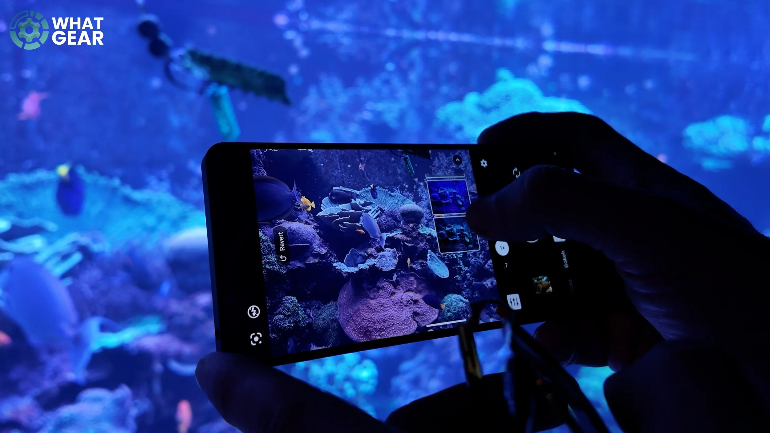Sony Xperia 1VIII camera ai.jpg