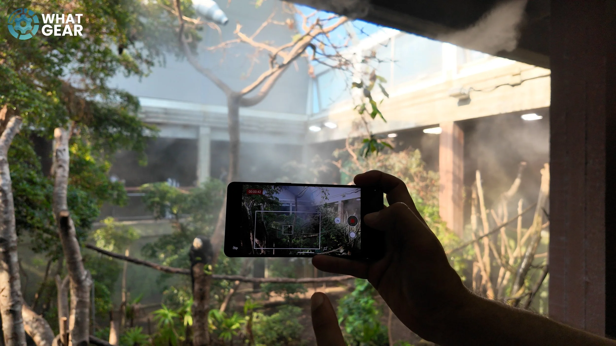 Sony Xperia 1VIII ai auto framing.jpg