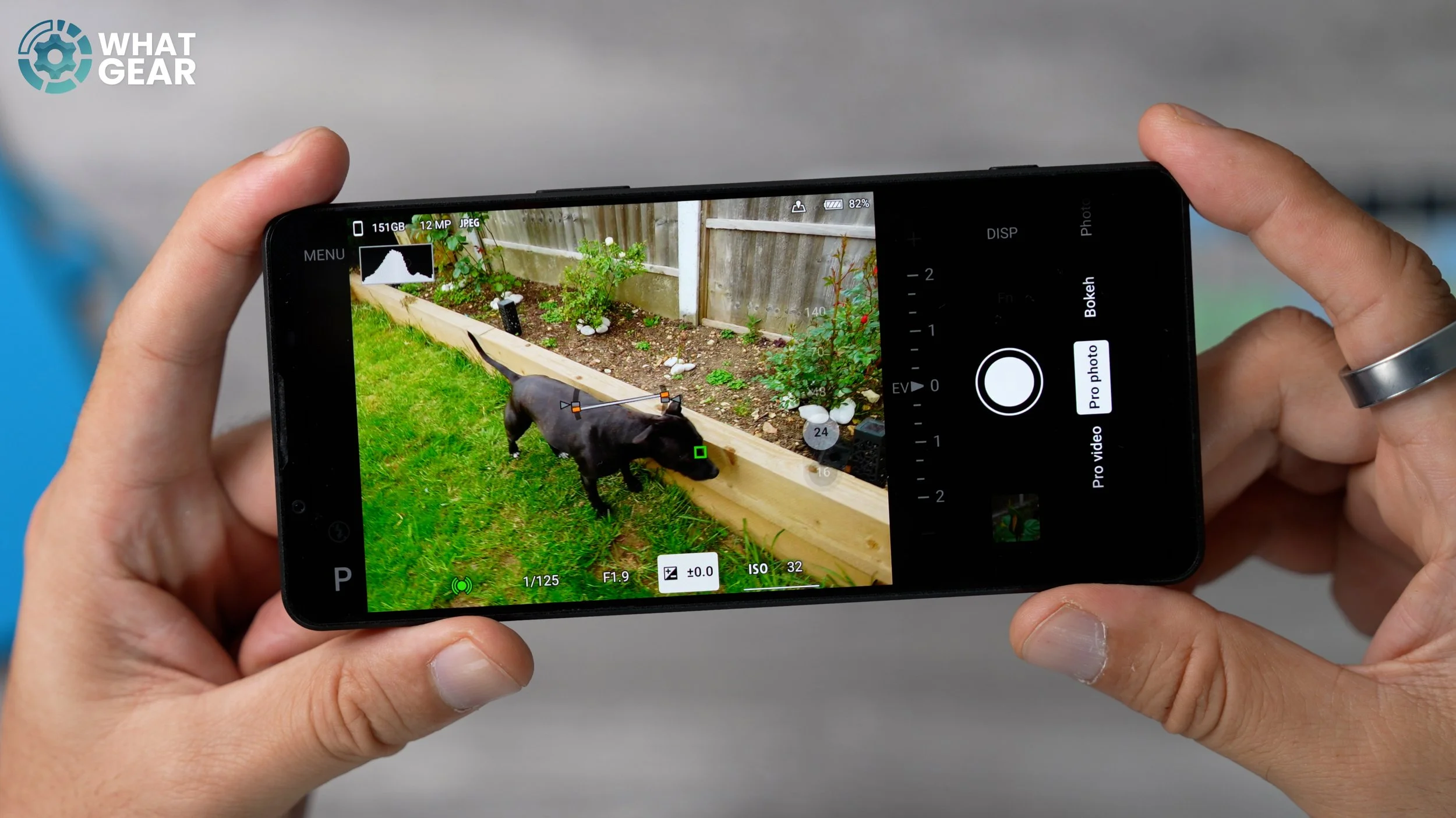 Sony Xperia 1VIII eye autofocus tracking.jpg