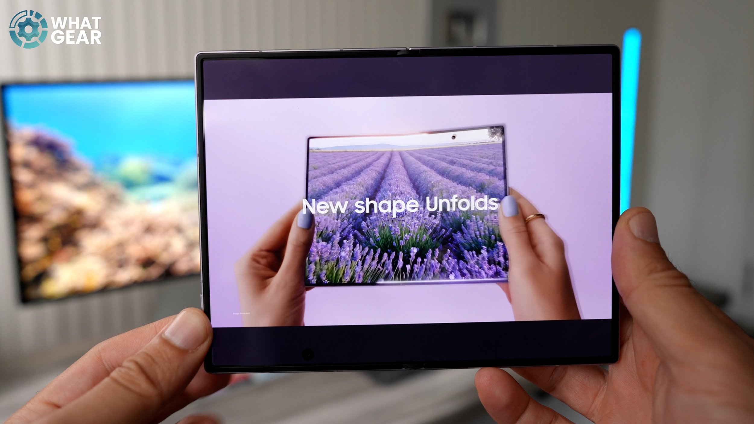 inner screen.jpg