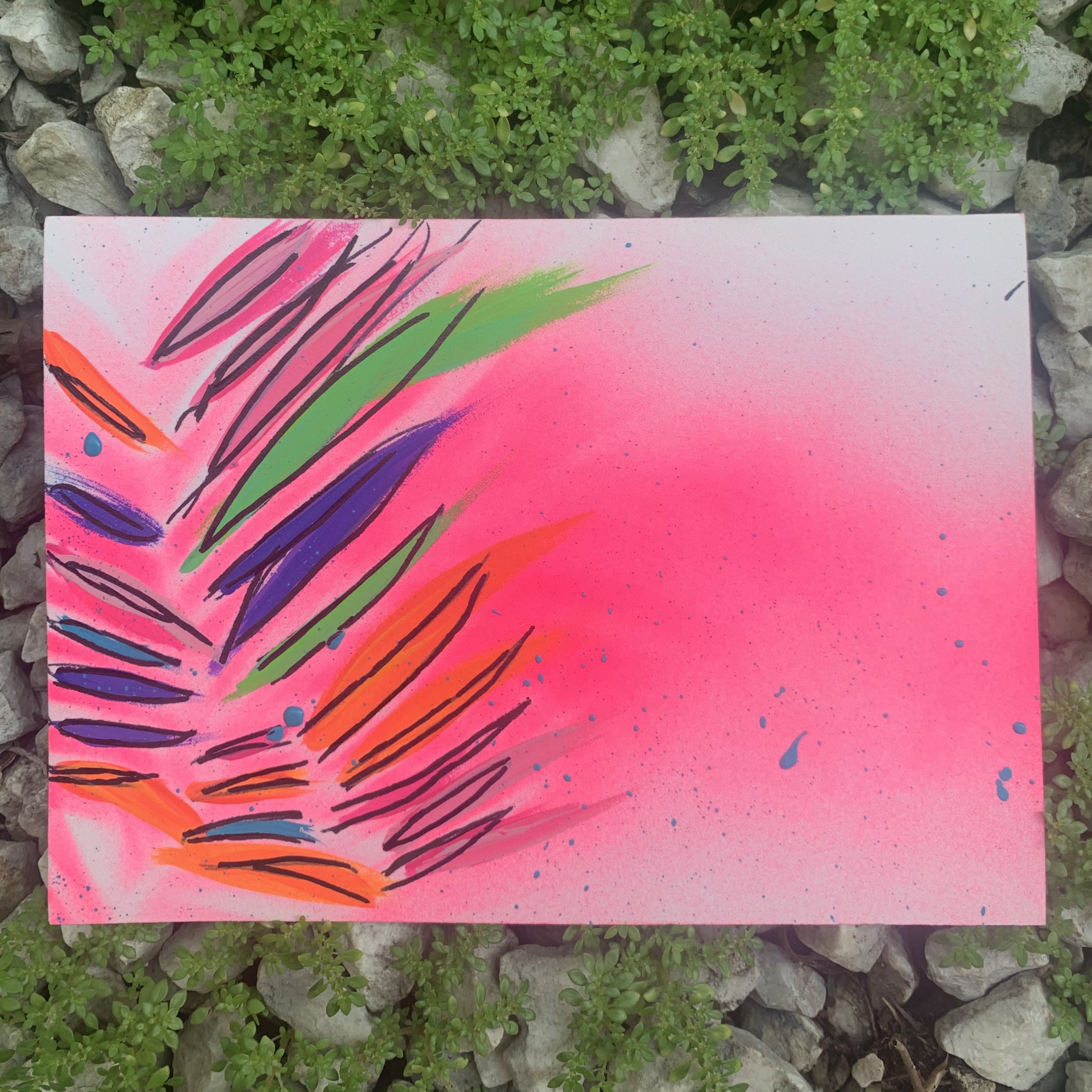 Pink Paradise, No. Seis