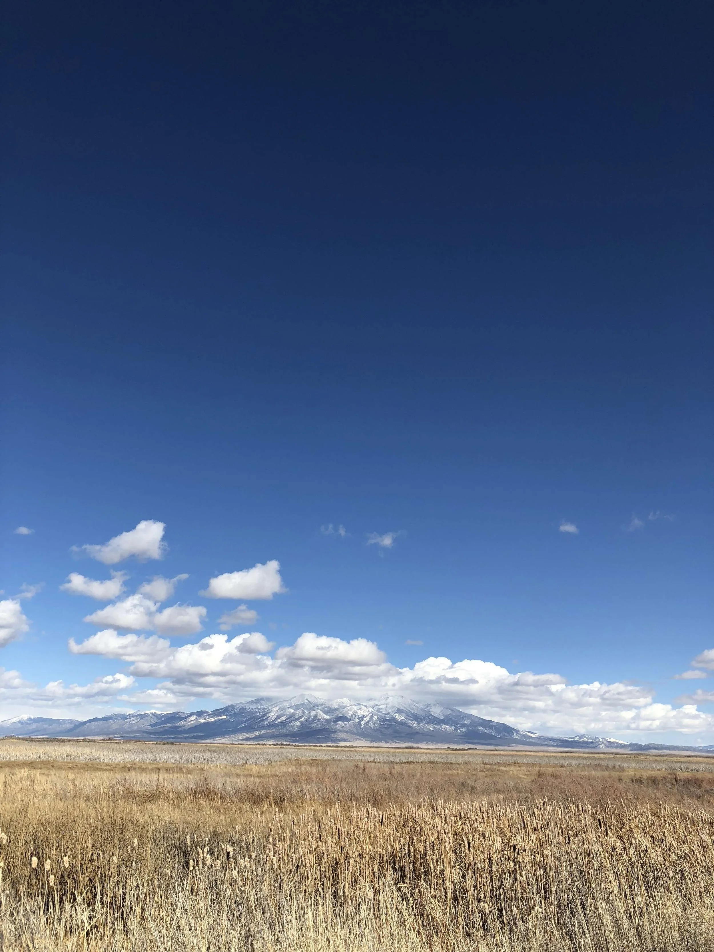 Alamosa2018.jpg