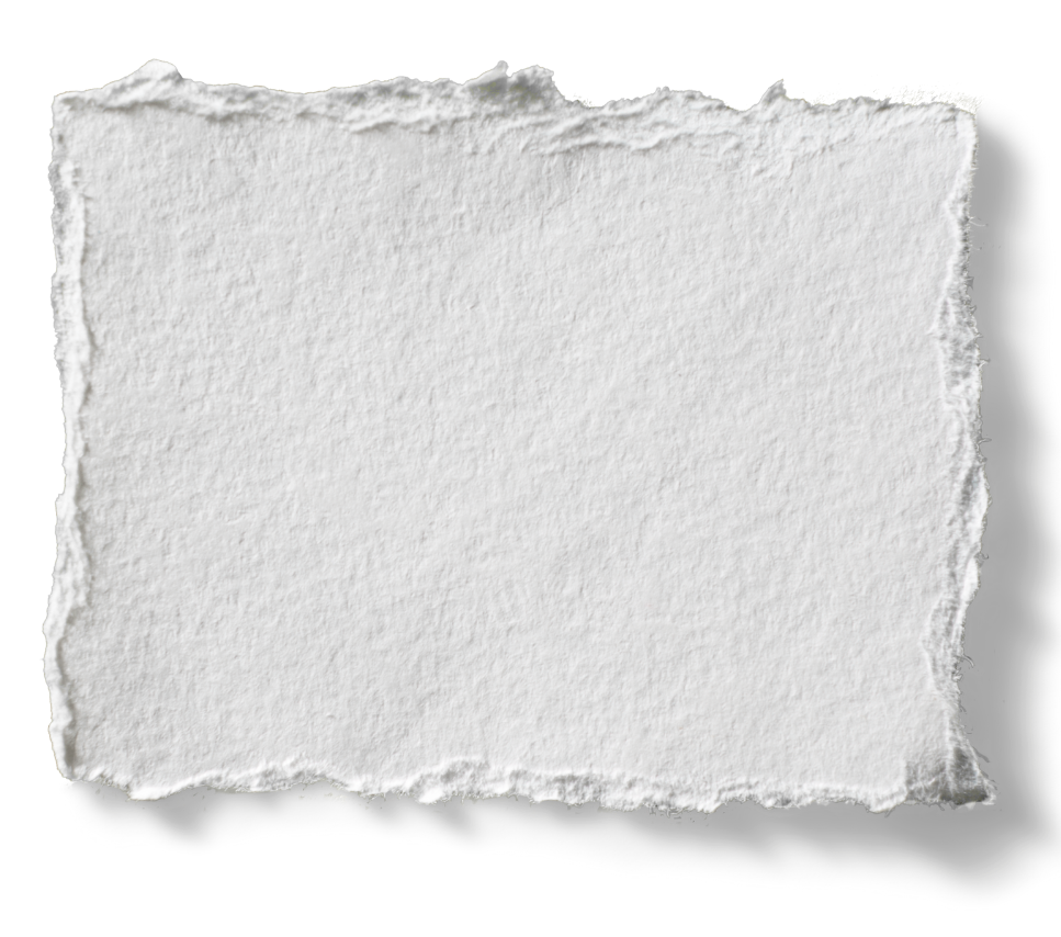 A blank piece of torn white paper with rough edges.