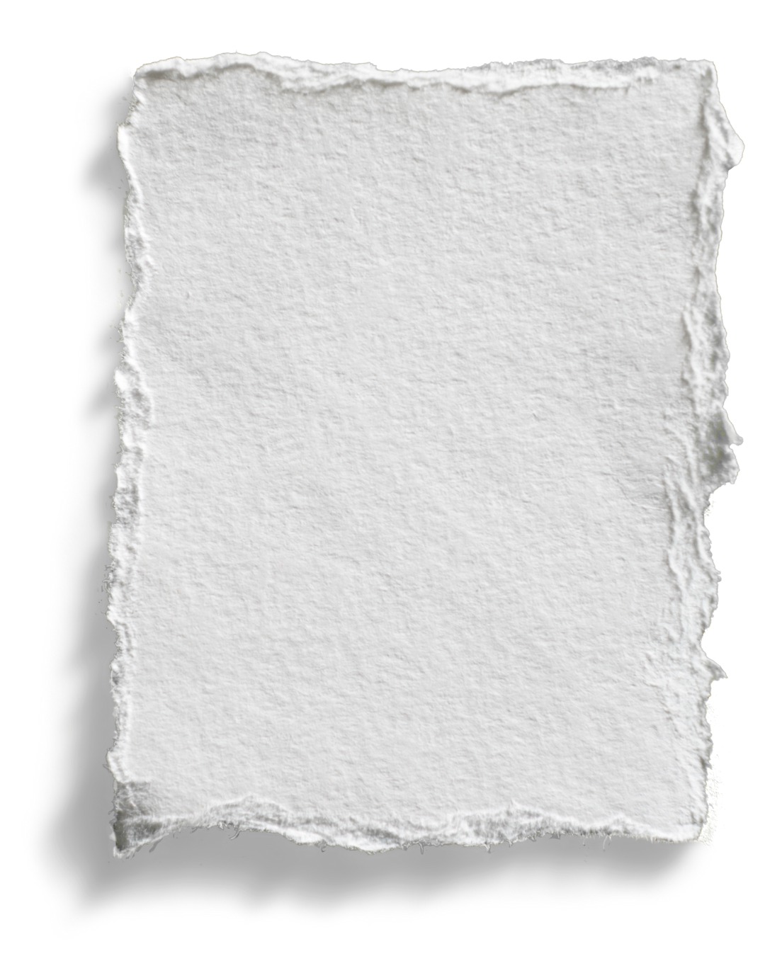 A blank, textured piece of white paper with torn edges on a white background.