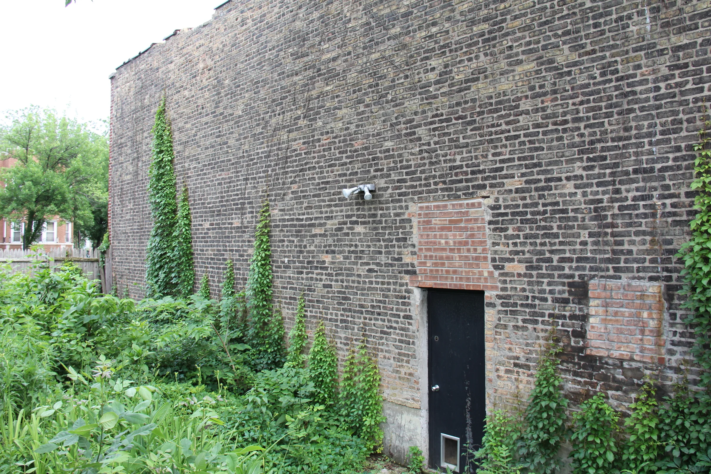 Kenneth initial49.JPG