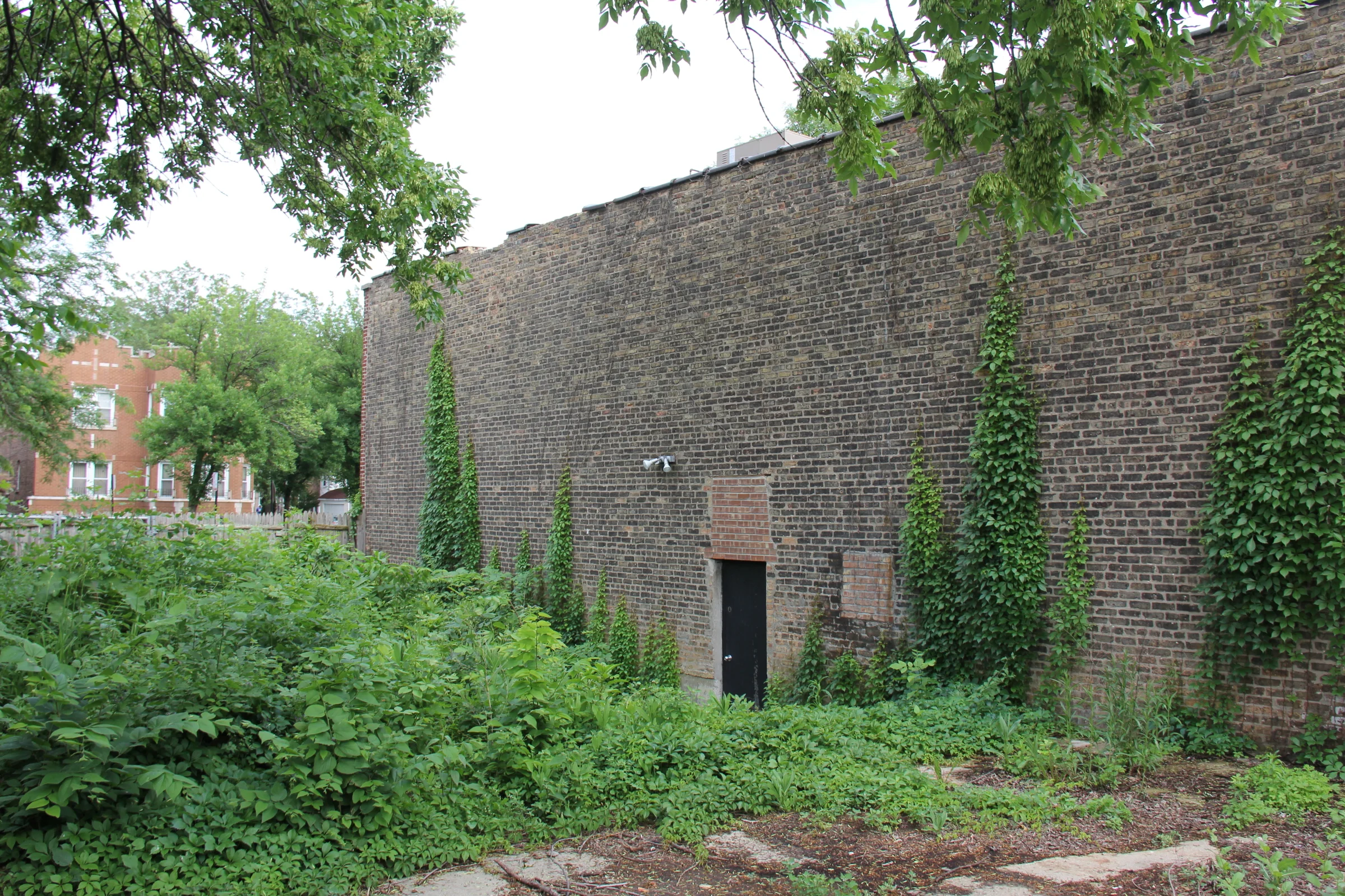 Kenneth initial57.JPG