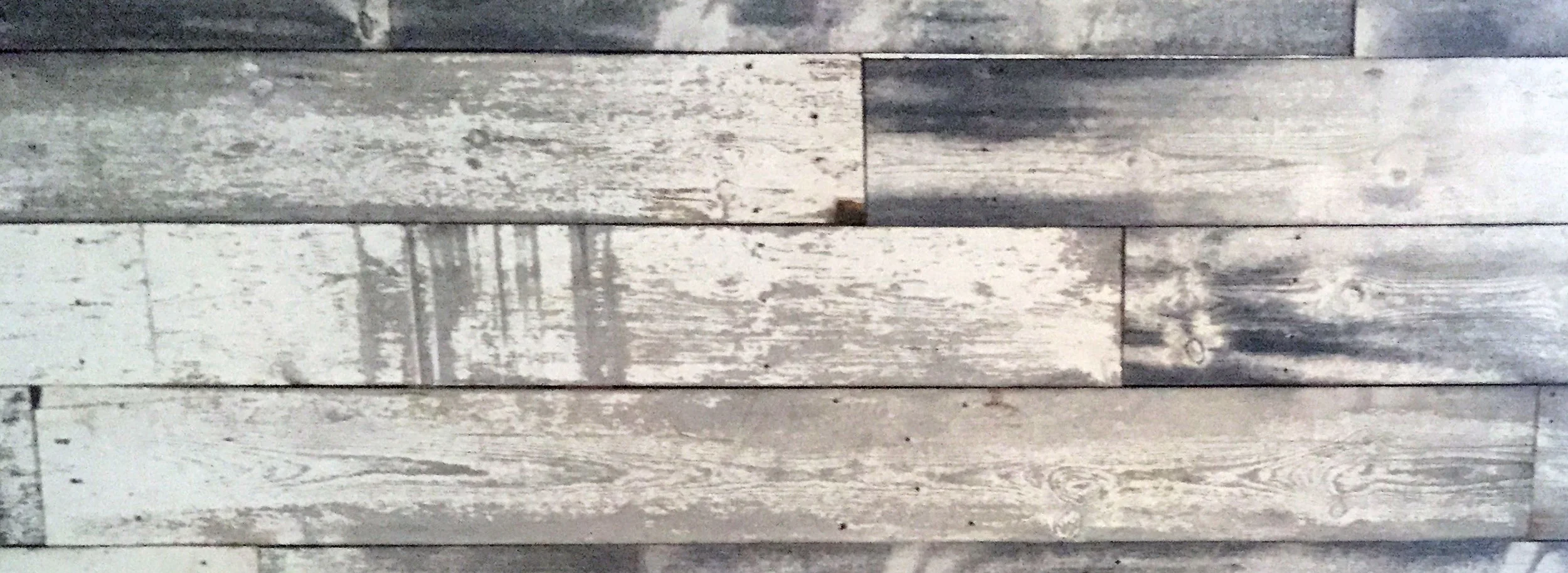 ceilingbanner.jpg