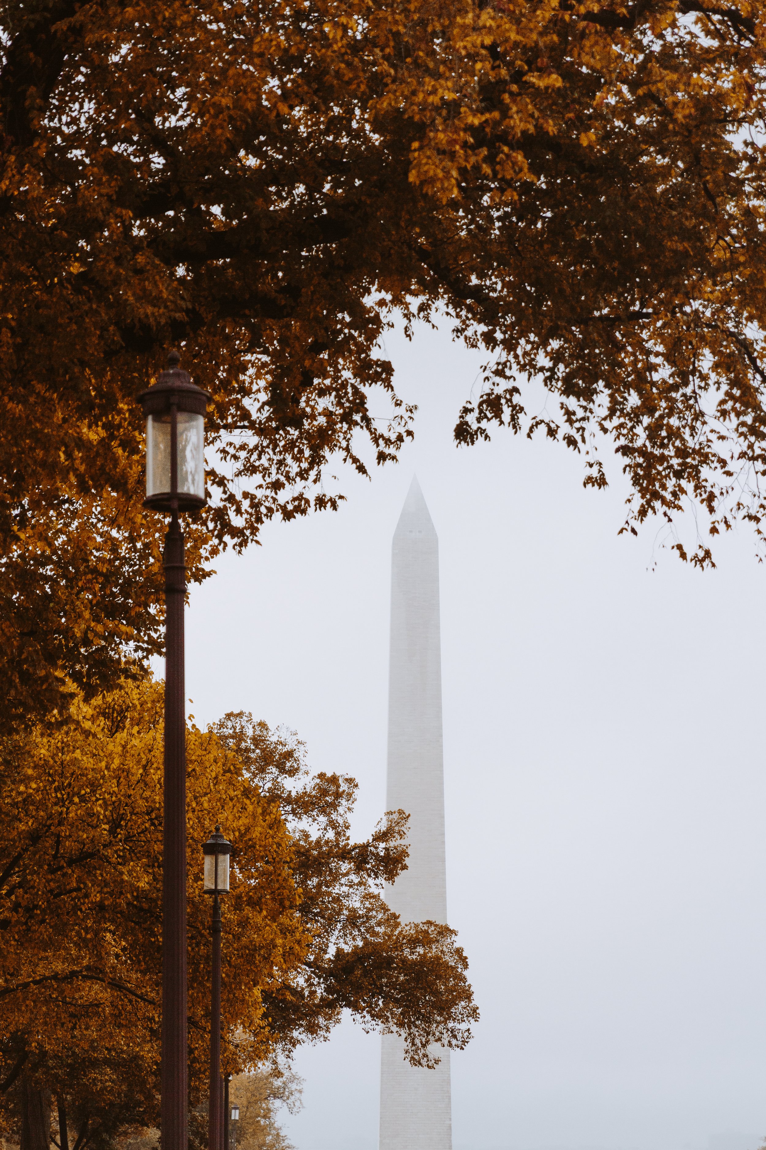 Autumn-DC-16.jpg