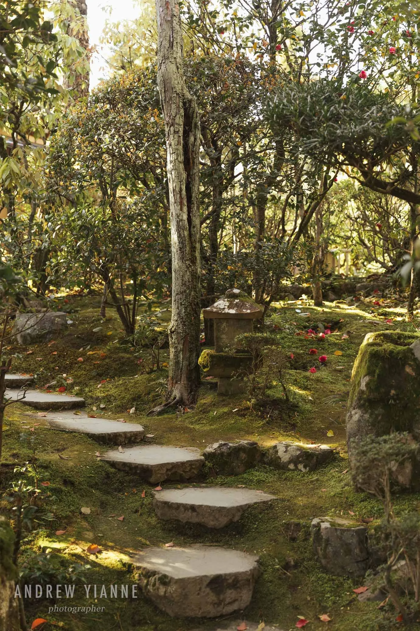 Kyoto-7.jpg
