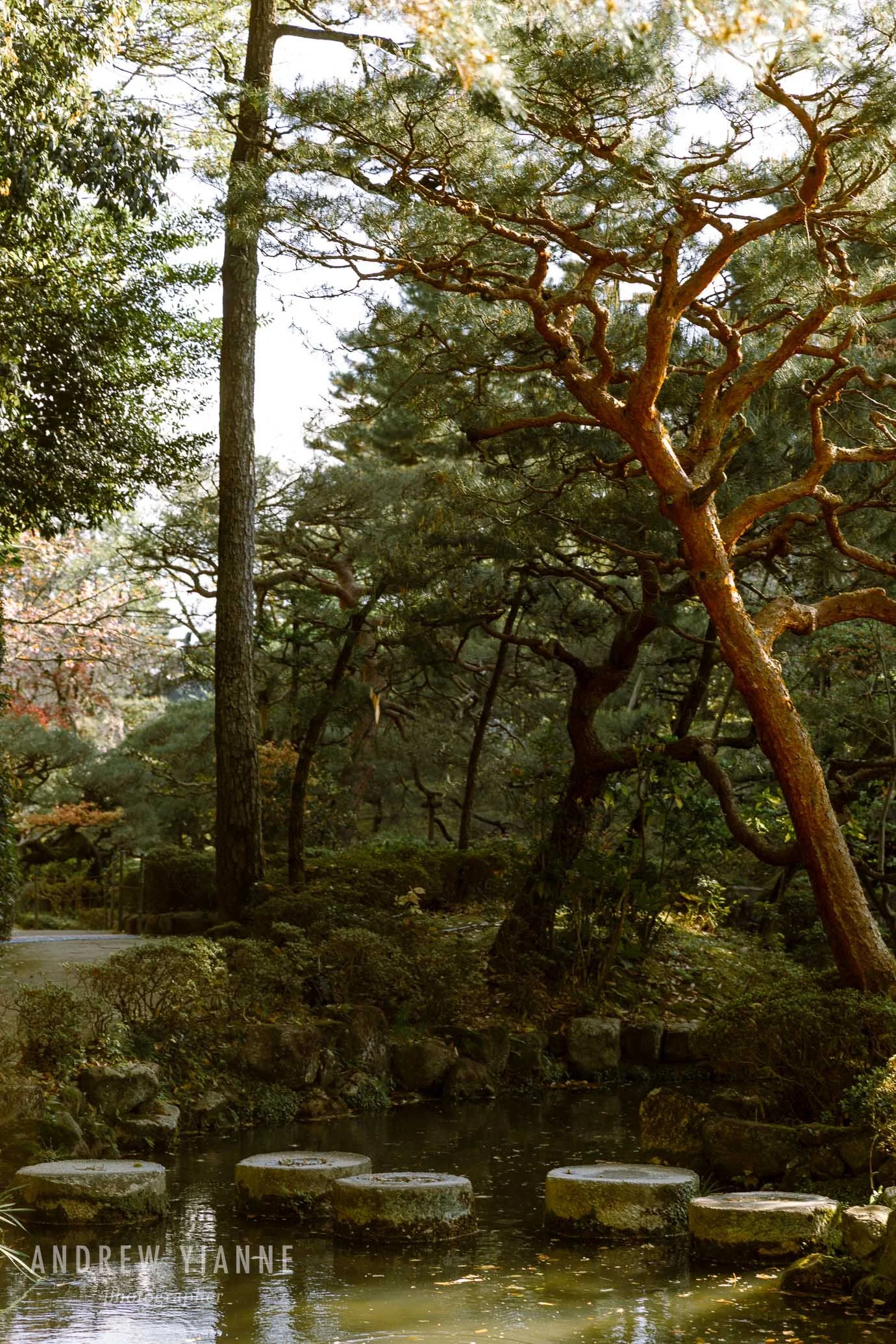 Kyoto-8.jpg