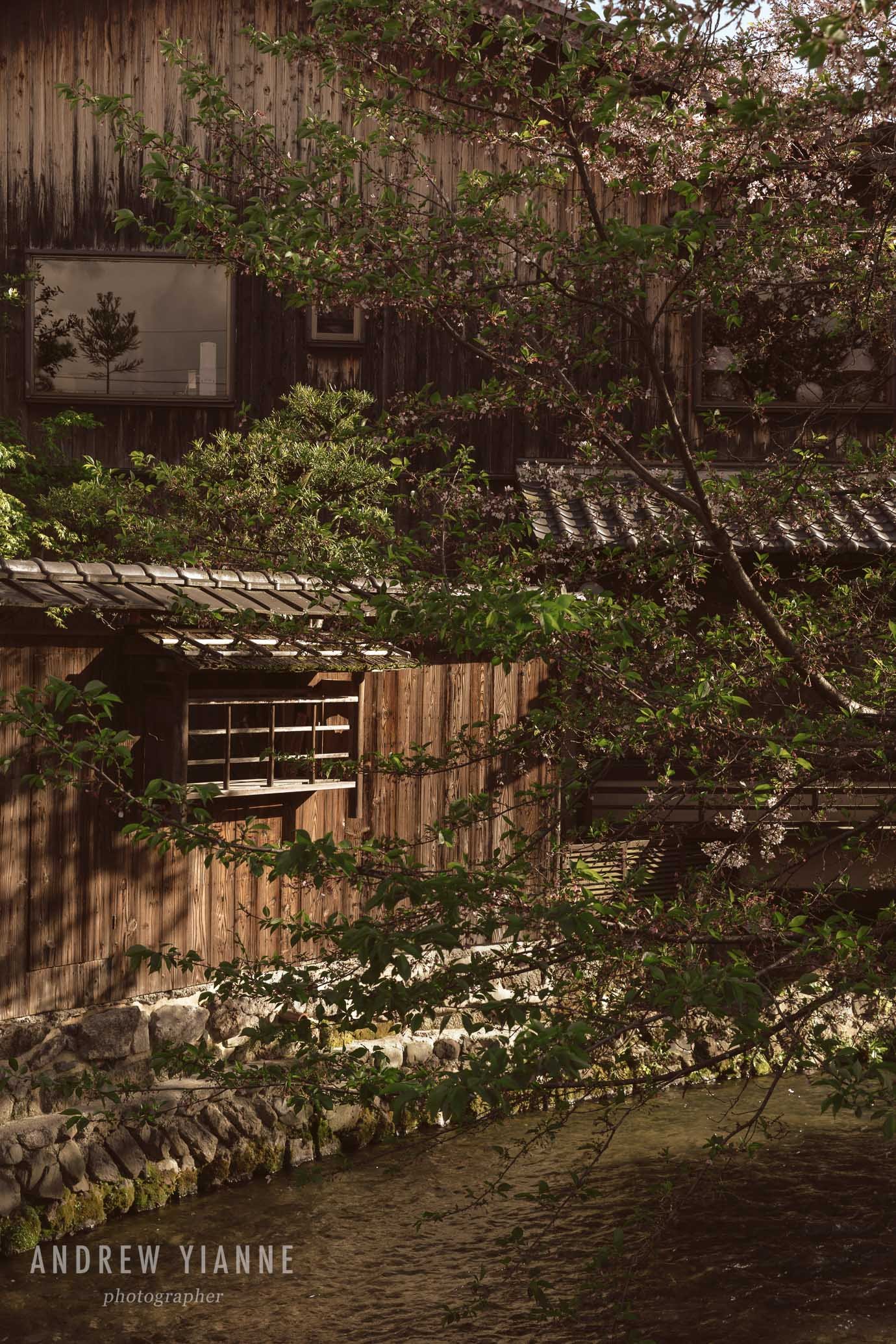 Kyoto-13.jpg
