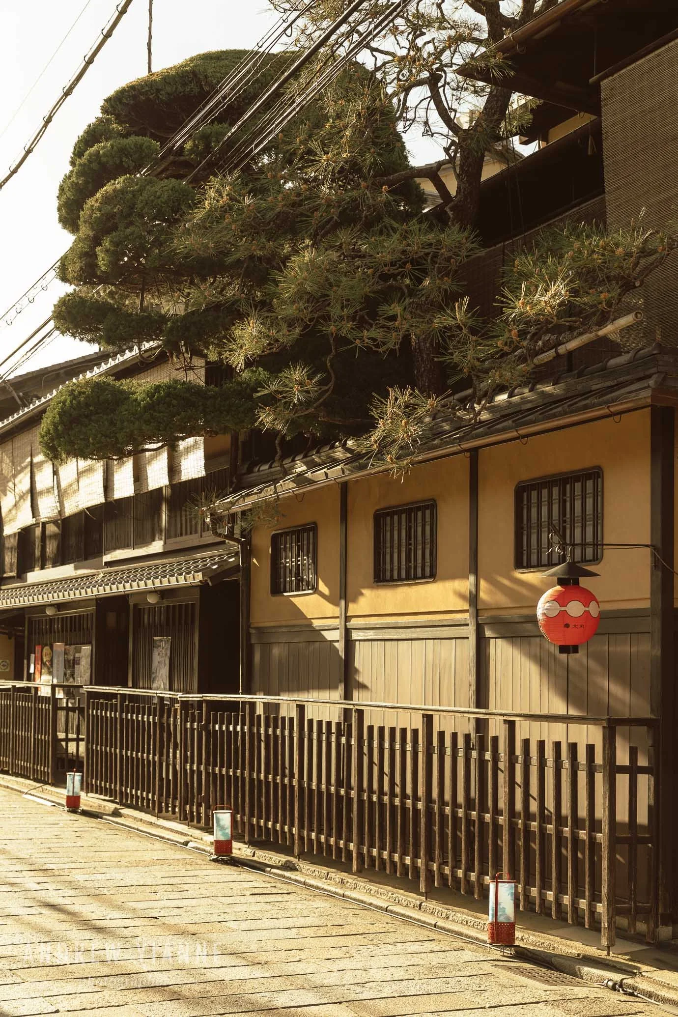 Kyoto-15.jpg