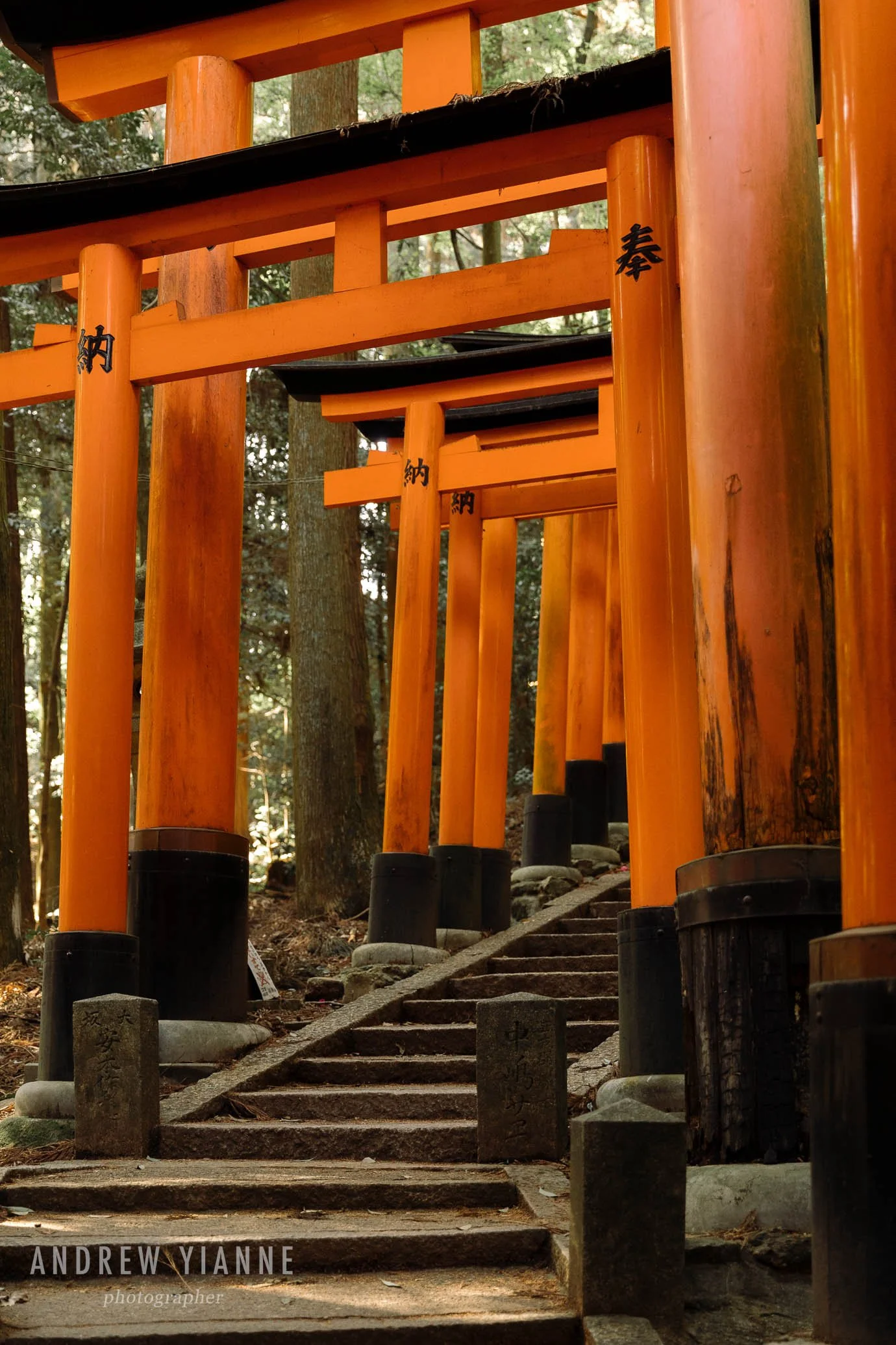 Kyoto-19.jpg