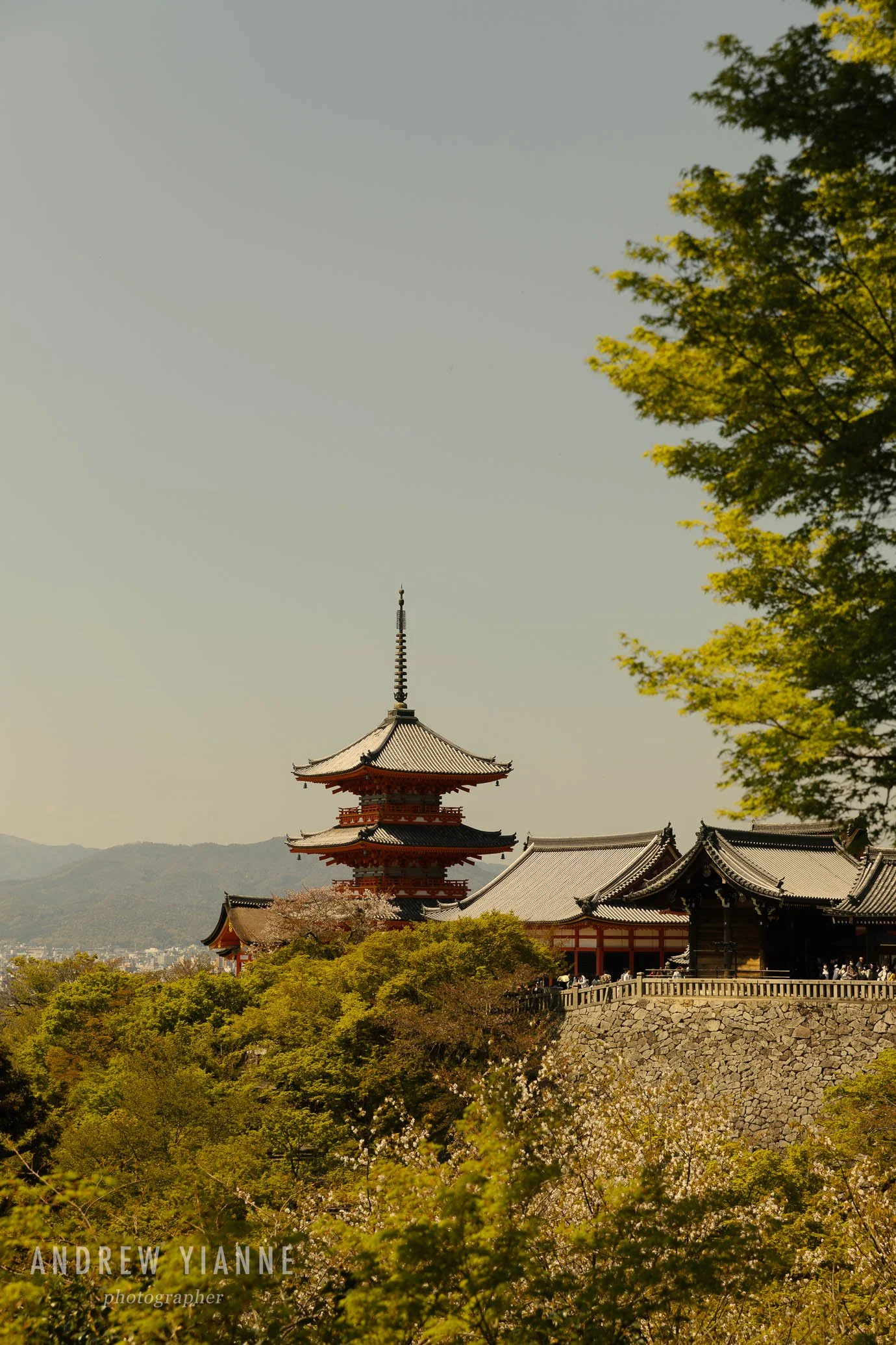 Kyoto-21.jpg