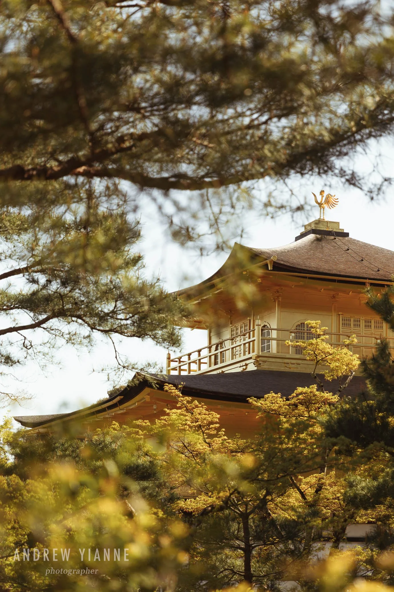 Kyoto-26.jpg