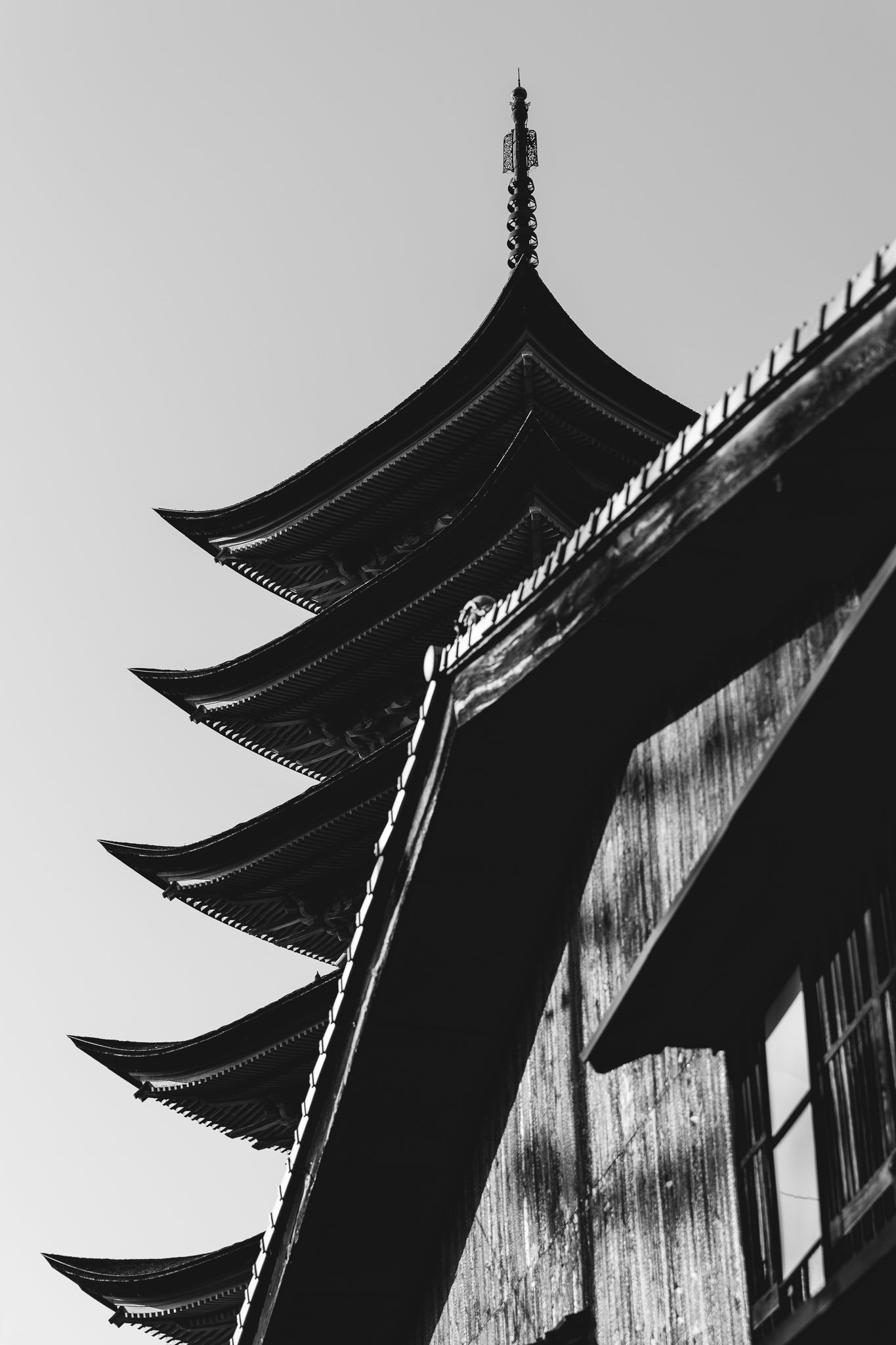 IMG_6923-Edit.jpg