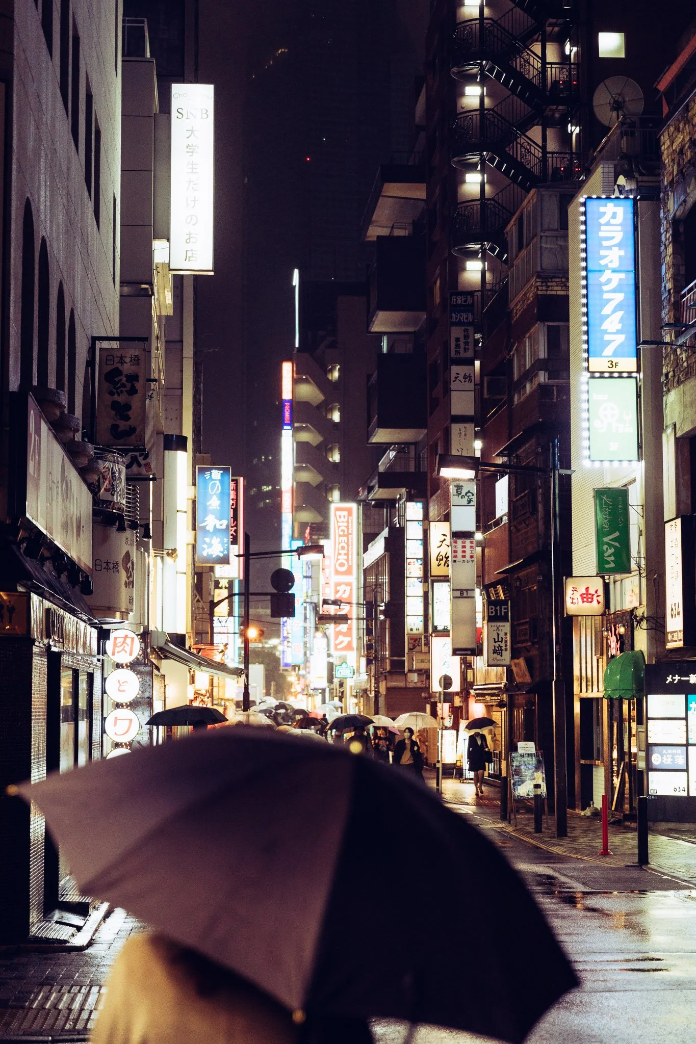 Japan-2.jpg