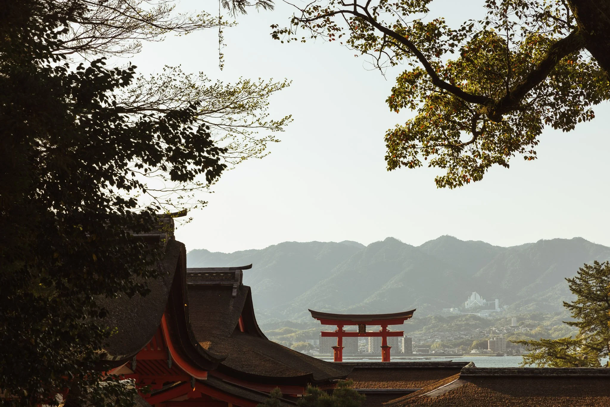 Japan-23.jpg