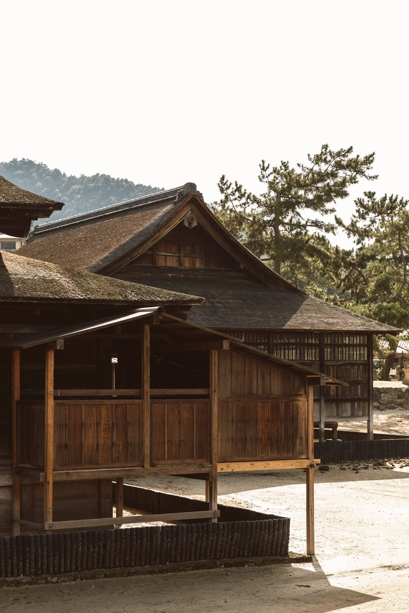 Japan-21.jpg