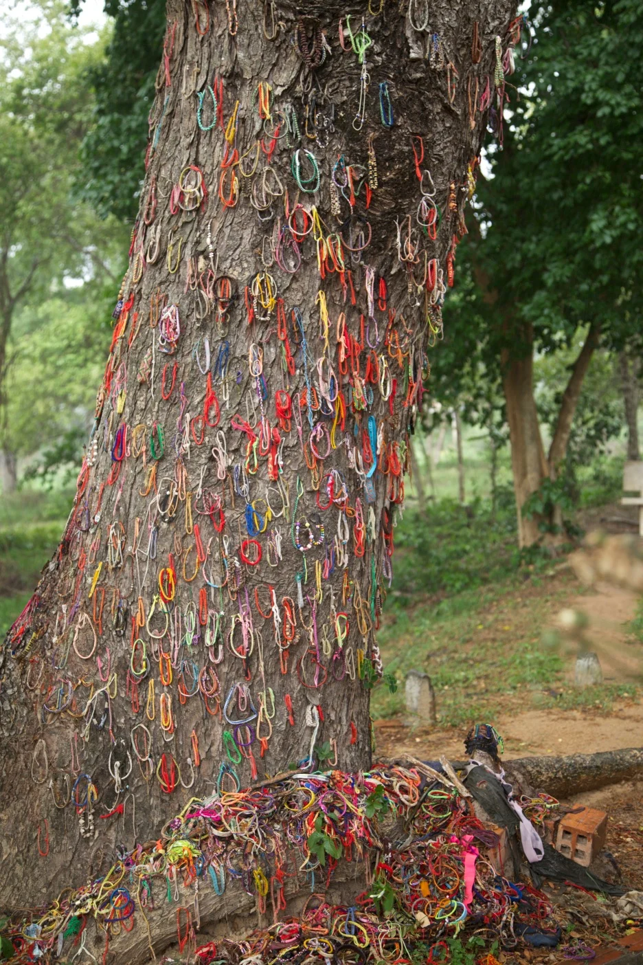 In remembrance of the children killed by being thrown against this very tree. The Killing Fields, Cambodia.