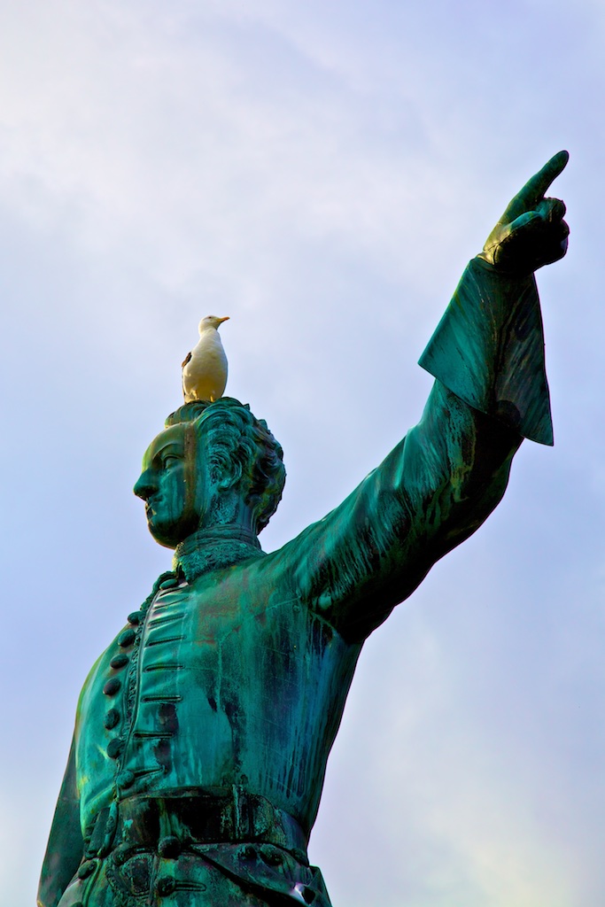 A sea gull's opinion of the bellicose king Charles XII. Stockholm, Sweden.