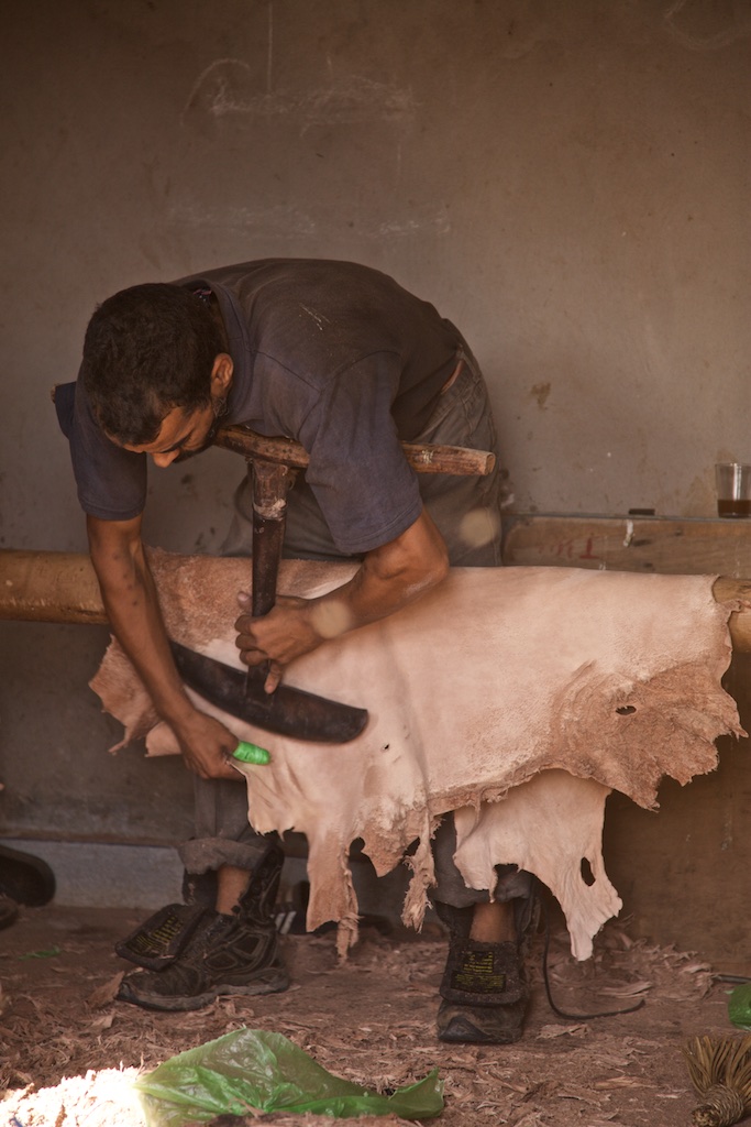 Preparing a goat skin the medieval way. Marrakesh, Morocco.