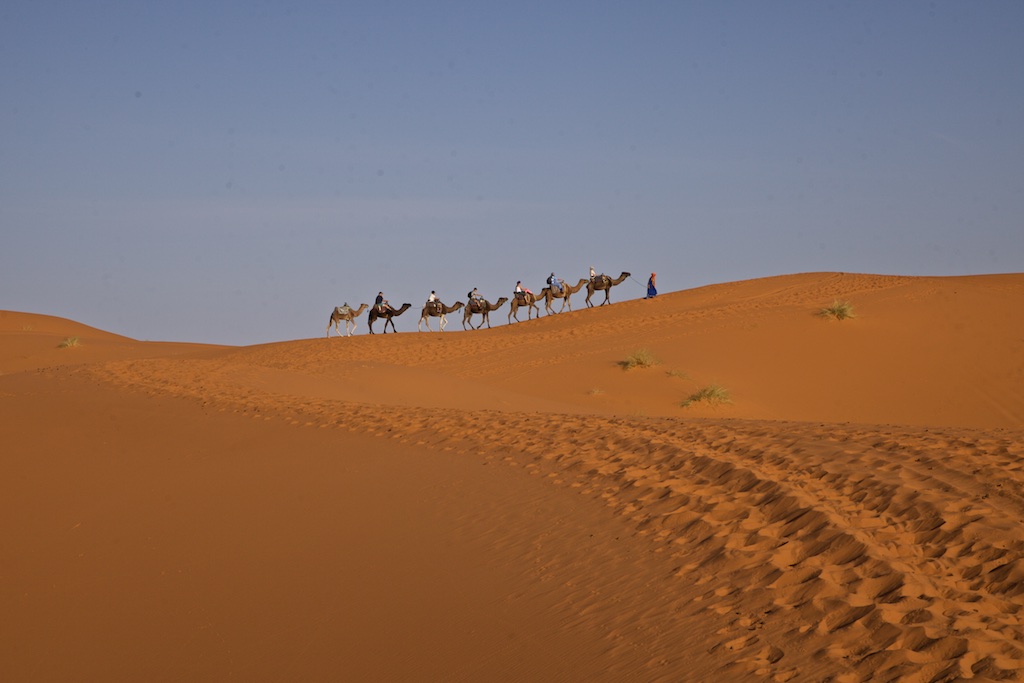 Desert caravan, crossing the Sahara.