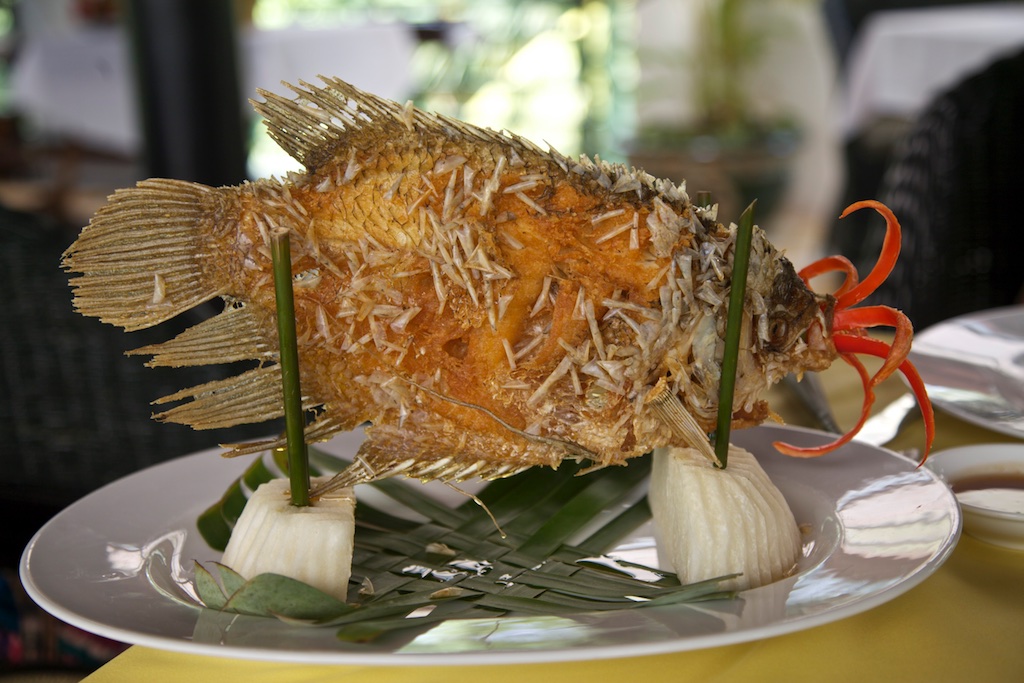 Grilled fish, properly presented.
