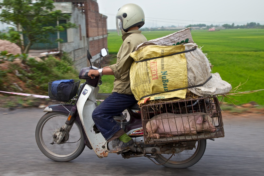 Bacon delivery man. Viet Nam.