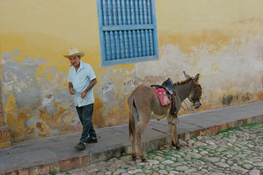 Parking your donkey in the kerb is still cost-free in Santa Clara, Cuba.