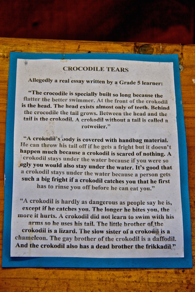 A crocodile essay.
