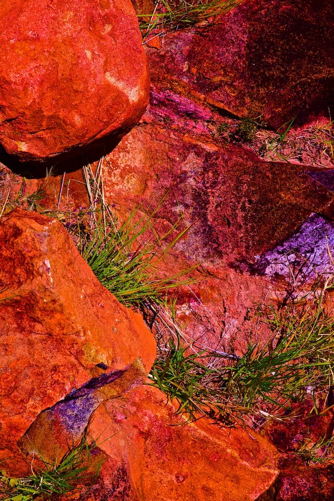 Unexpected life in a poisoned well.
