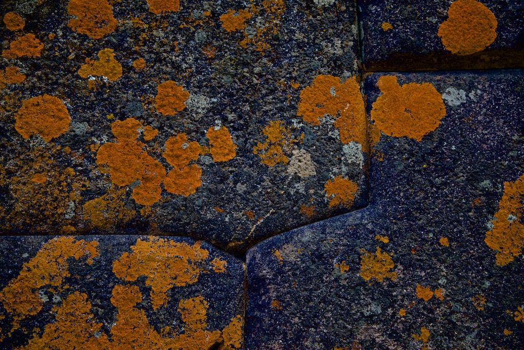 Liquen, the first living thing that perishes when air is contaminated, here eating away at century-old, perfectly-fitted, Inka-hewed stone foundations.