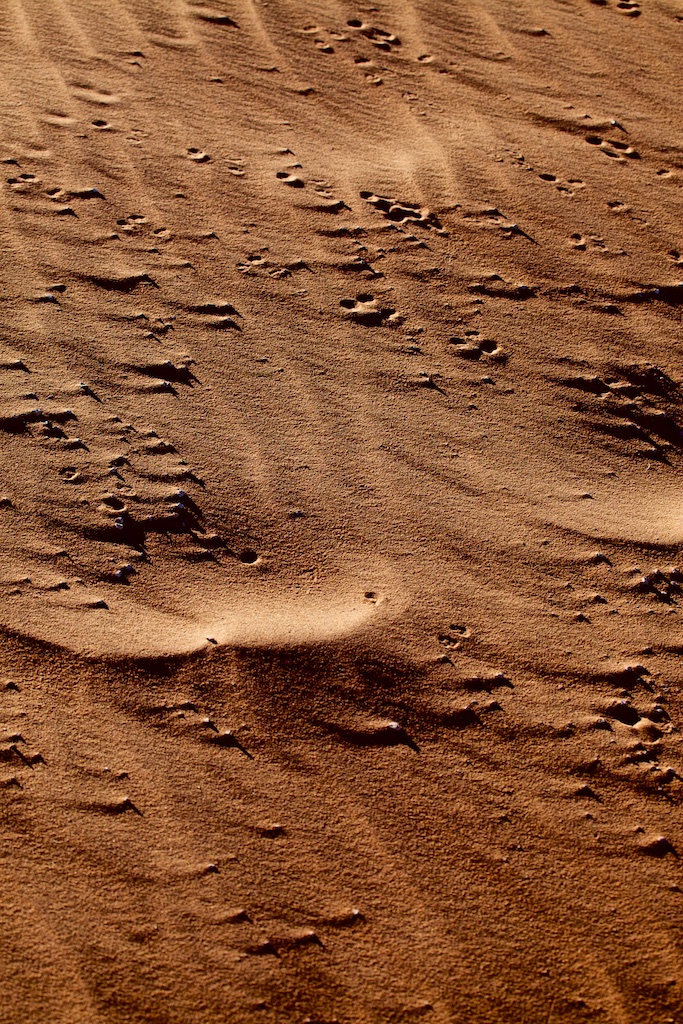 Moonscape disturbed by solar winds.