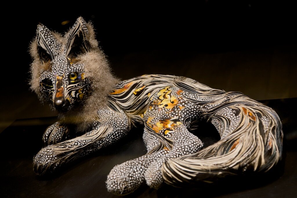 Feathered fox.