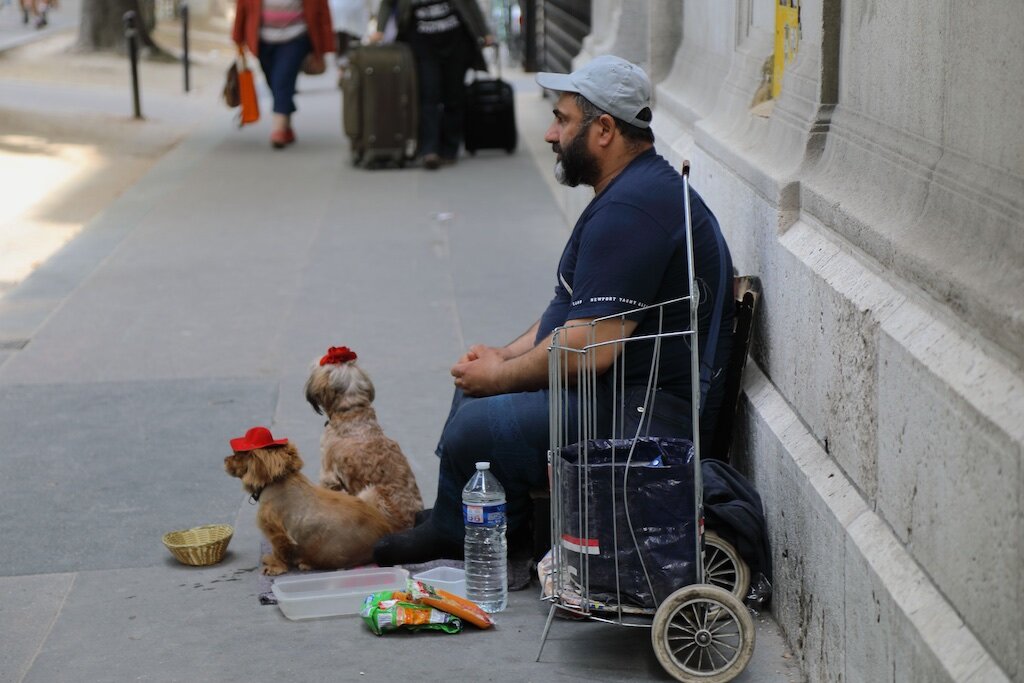 No mone.y for food but the dogs have pretty headgear. Paris, France.